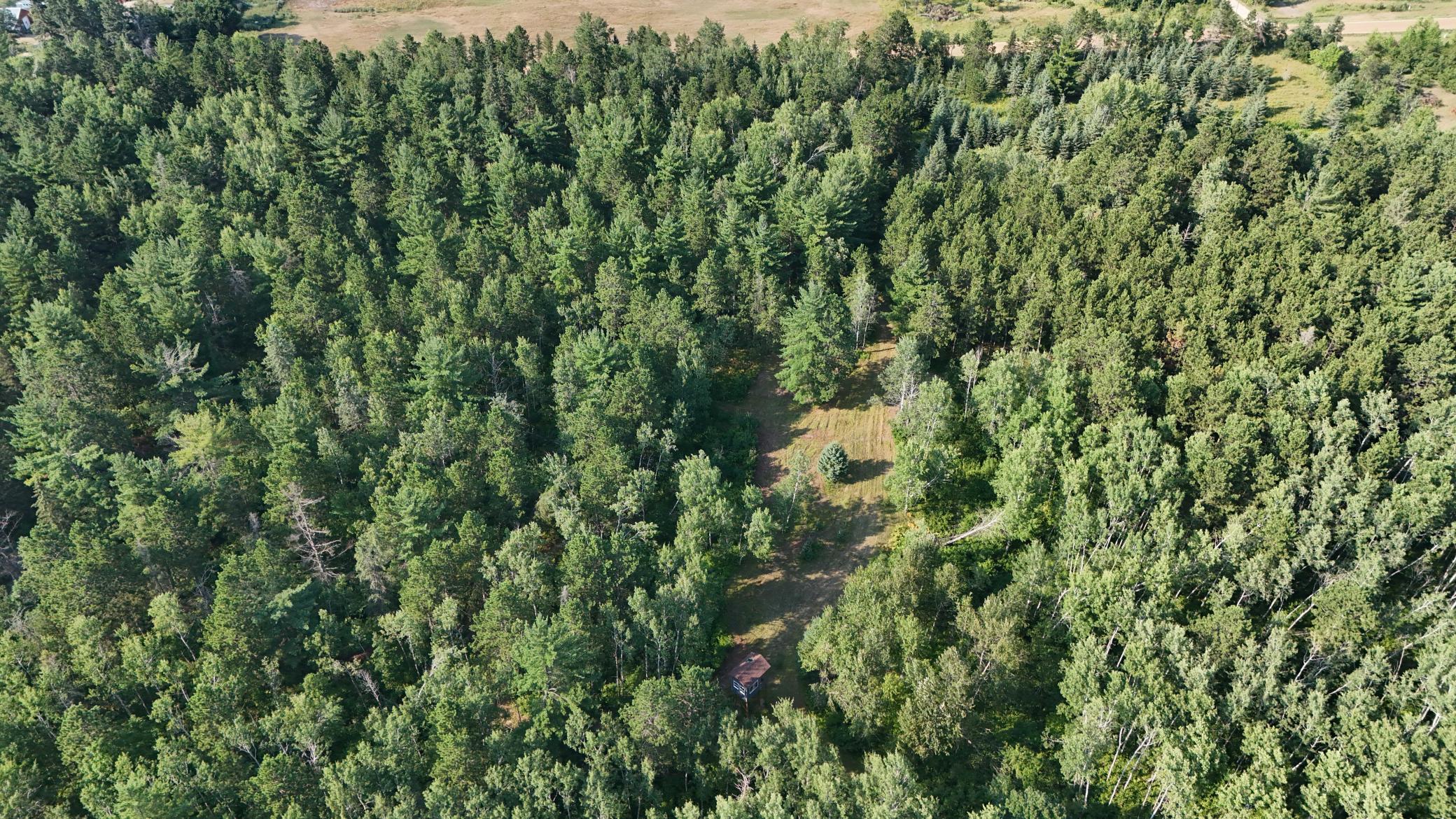 20th image of Tbd Fredenburg Rd Sw, Solway, MN 56678 | MLS# 7117220