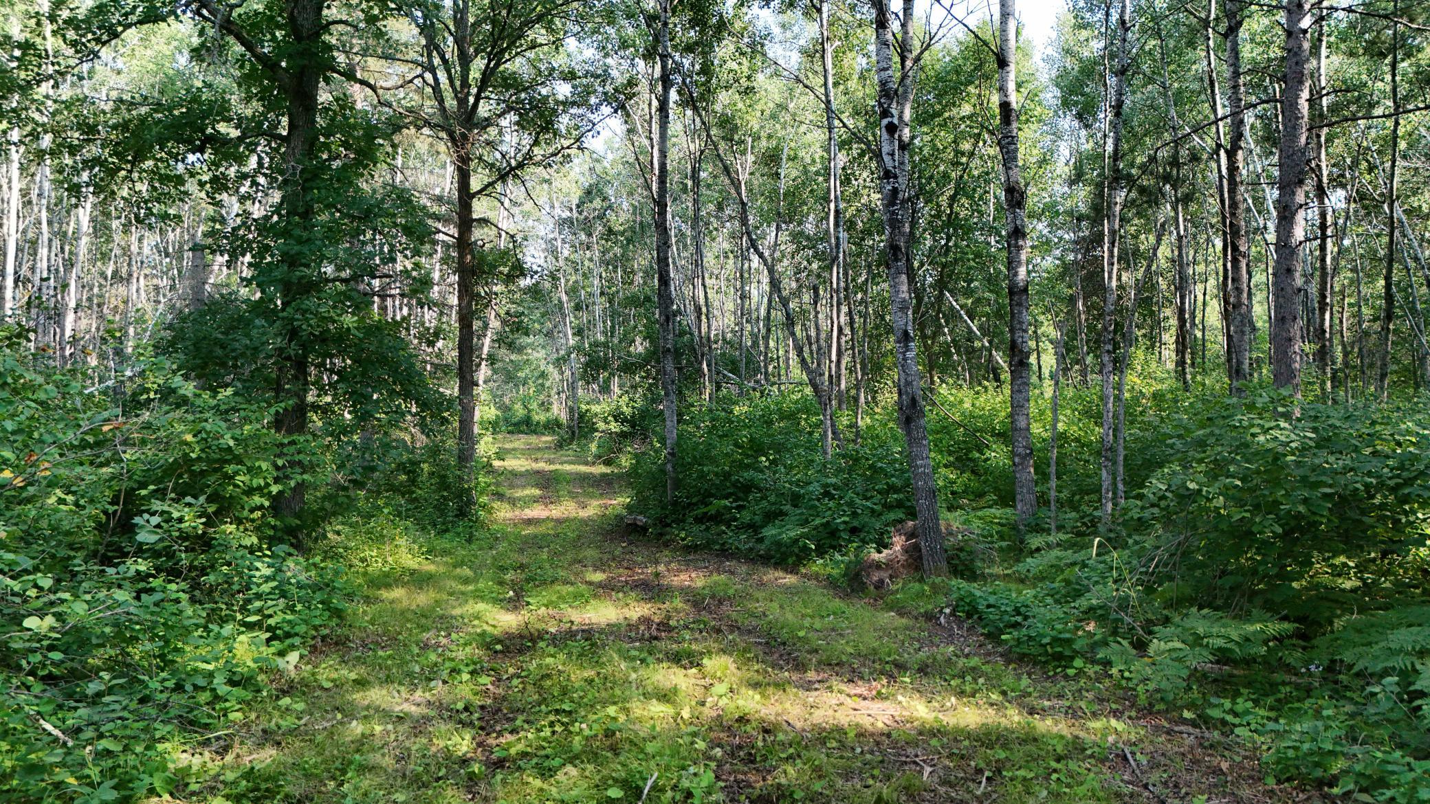 2nd image of Tbd Fredenburg Rd Sw, Solway, MN 56678 | MLS# 7117220