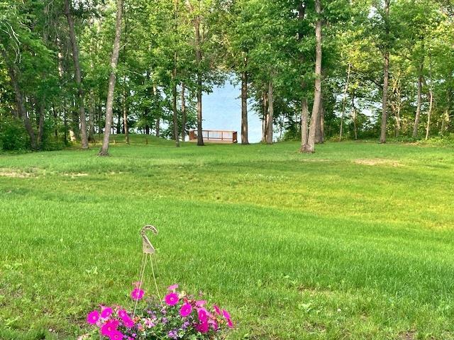 3rd image of 19566 Early Bird Dr, Park Rapids, MN 56470 | MLS# 7117319