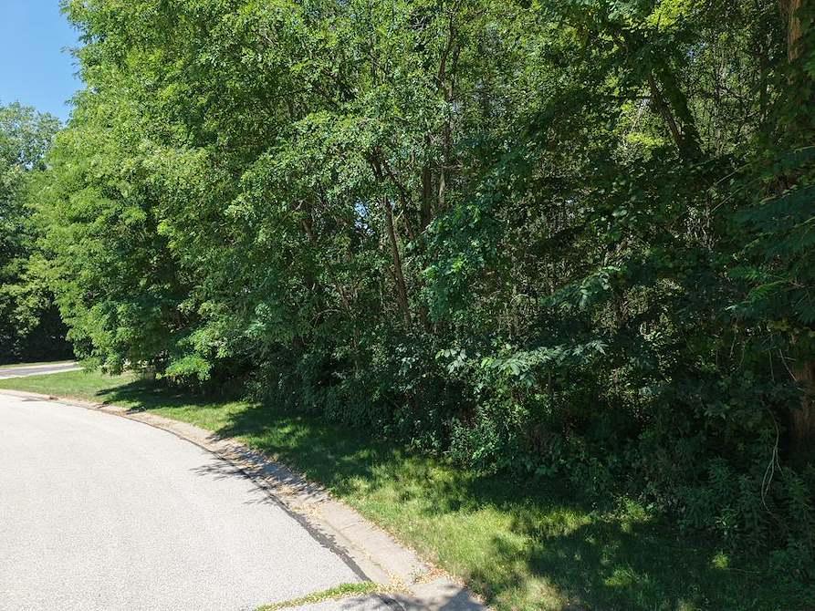 8th image of 1776 Neal St, Red Wing, MN 55066 | MLS# 7117560