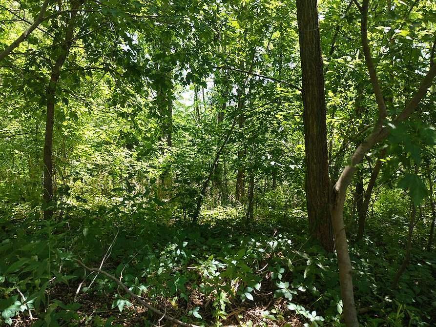 5th image of 1776 Neal St, Red Wing, MN 55066 | MLS# 7117560
