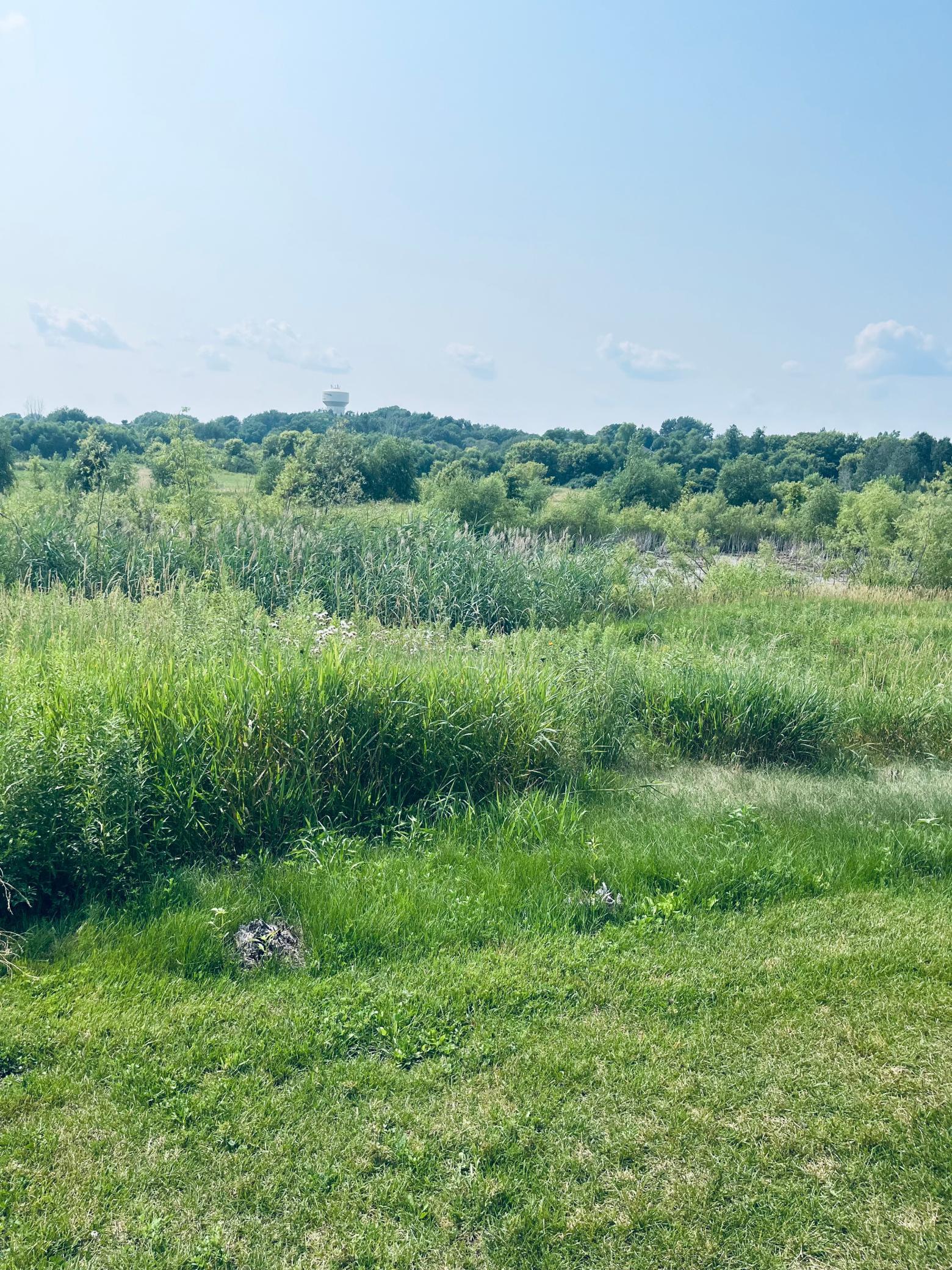 5th image of 4565 Landmark Dr Ne, Saint Michael, MN 55376 | MLS# 7117586