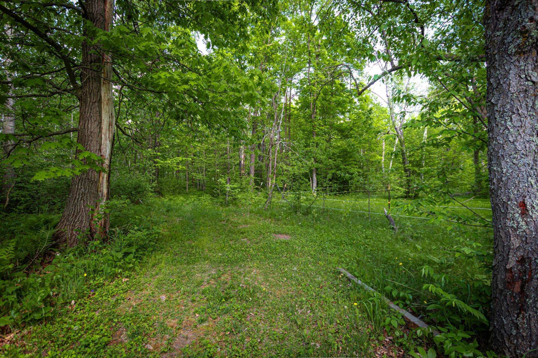 44th image of 43522 Us 71, Laporte, MN 56461 | MLS# 7117700