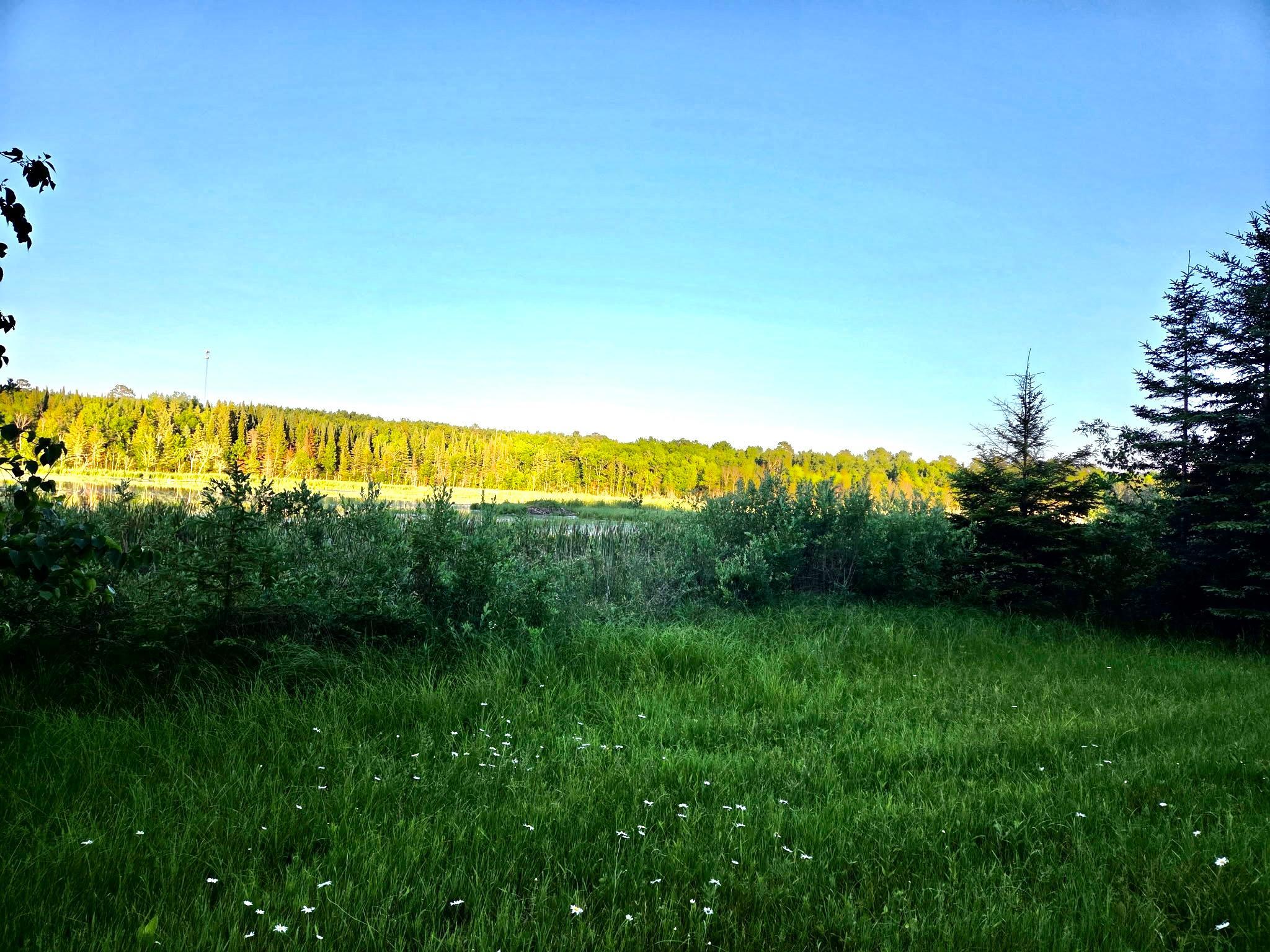 2nd image of Tbd 190th St, Bagley, MN 56621 | MLS# 7117732