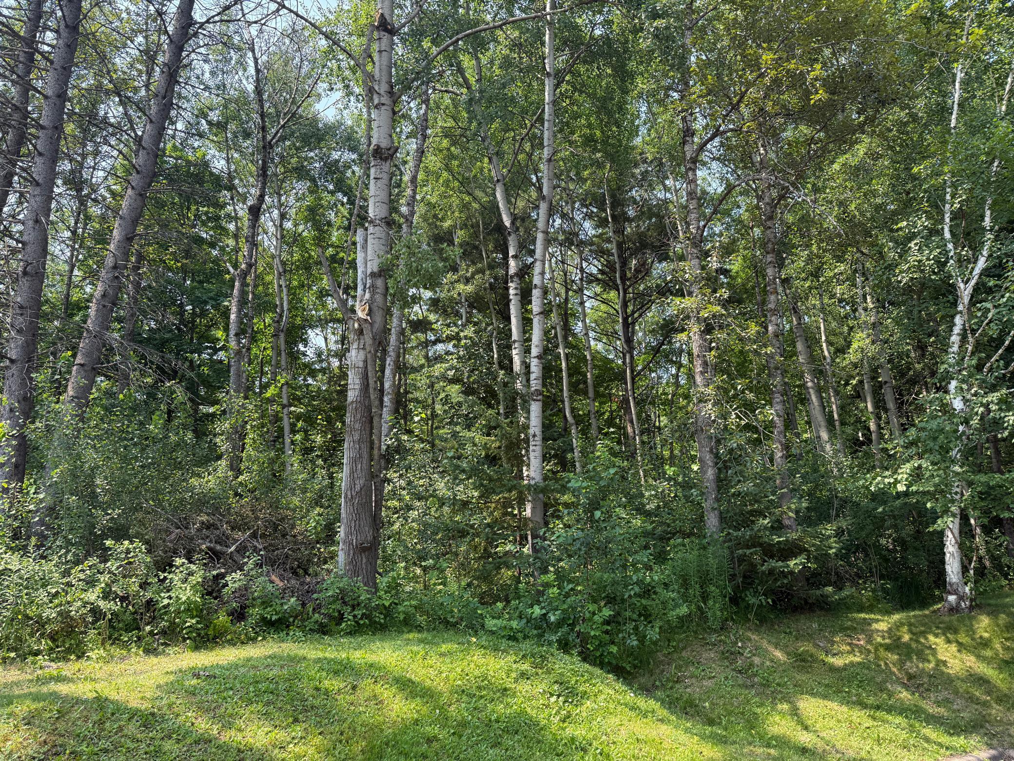 5th image of Tbd N 83Rd Ave W, Duluth, MN 55807 | MLS# 7118042