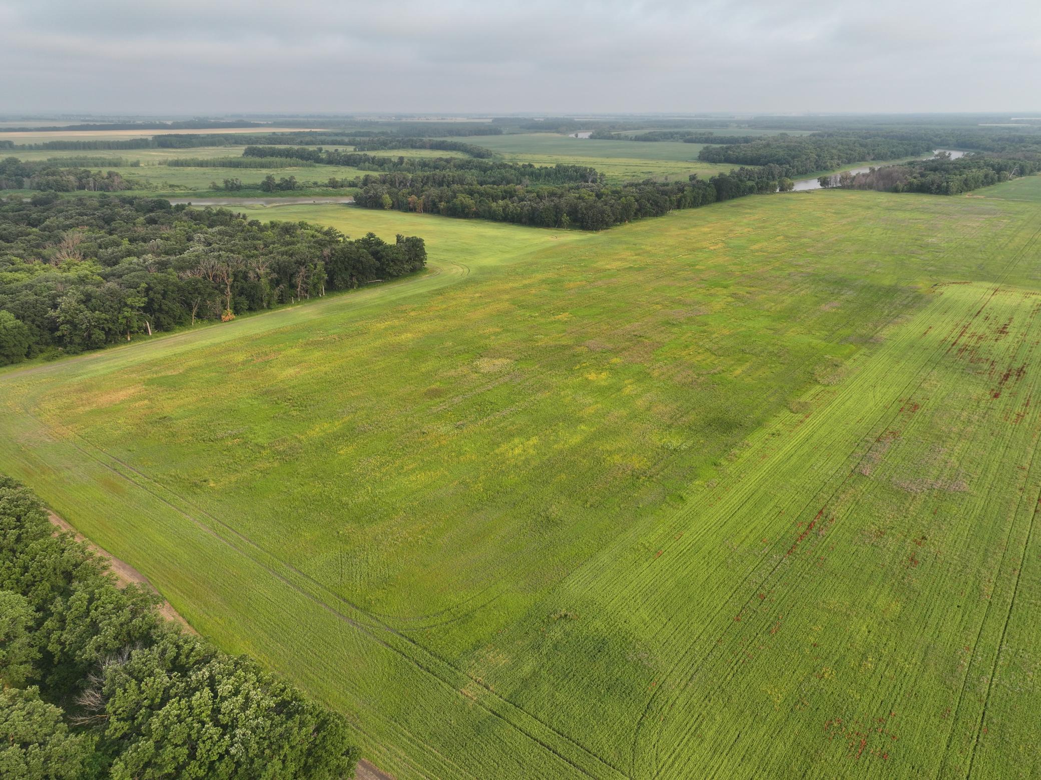 4th image of 390Th 390Th St Nw, Stephen, MN 56757 | MLS# 7118072