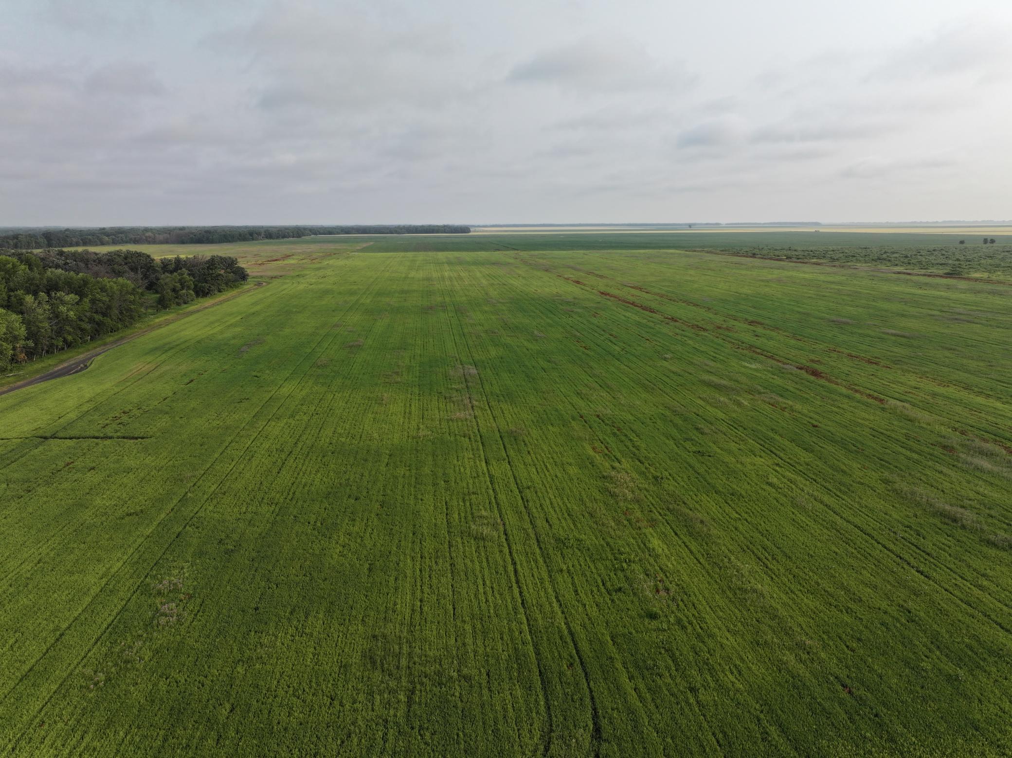 1st image of 390th 390th St Nw, Stephen, MN 56757 | MLS# 7118072