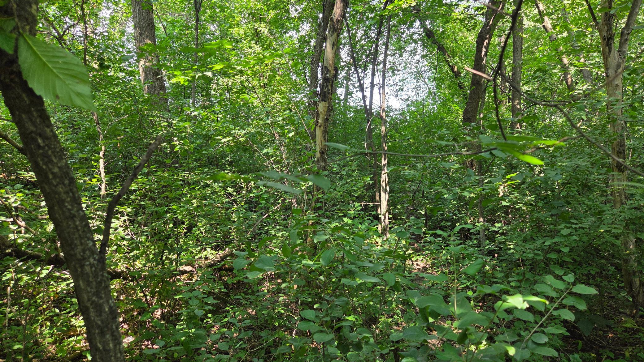 41st image of Xxx Yellowstone Trl Yellowstone, Hudson, WI 54016 | MLS# 7118164