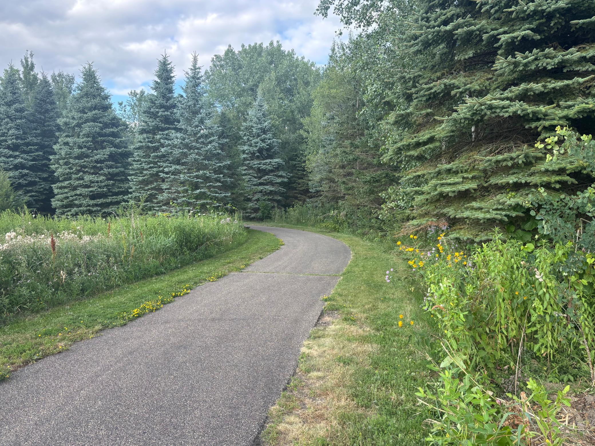 37th image of 8776 Upper 7th Pl, Lake Elmo, MN 55042 | MLS# 7119365