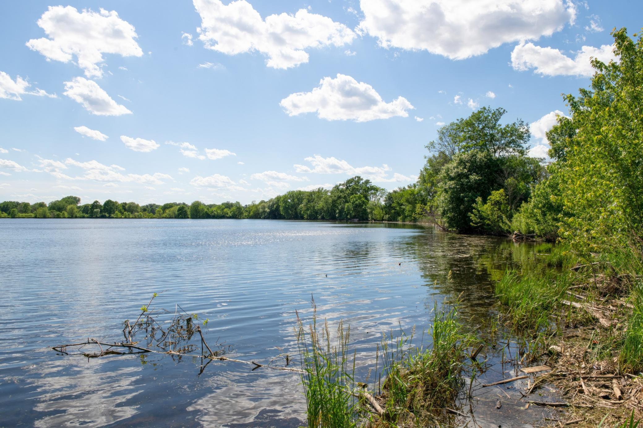 37th image of 3728 Minnehaha Ave, Minneapolis, MN 55406 | MLS# 7119390