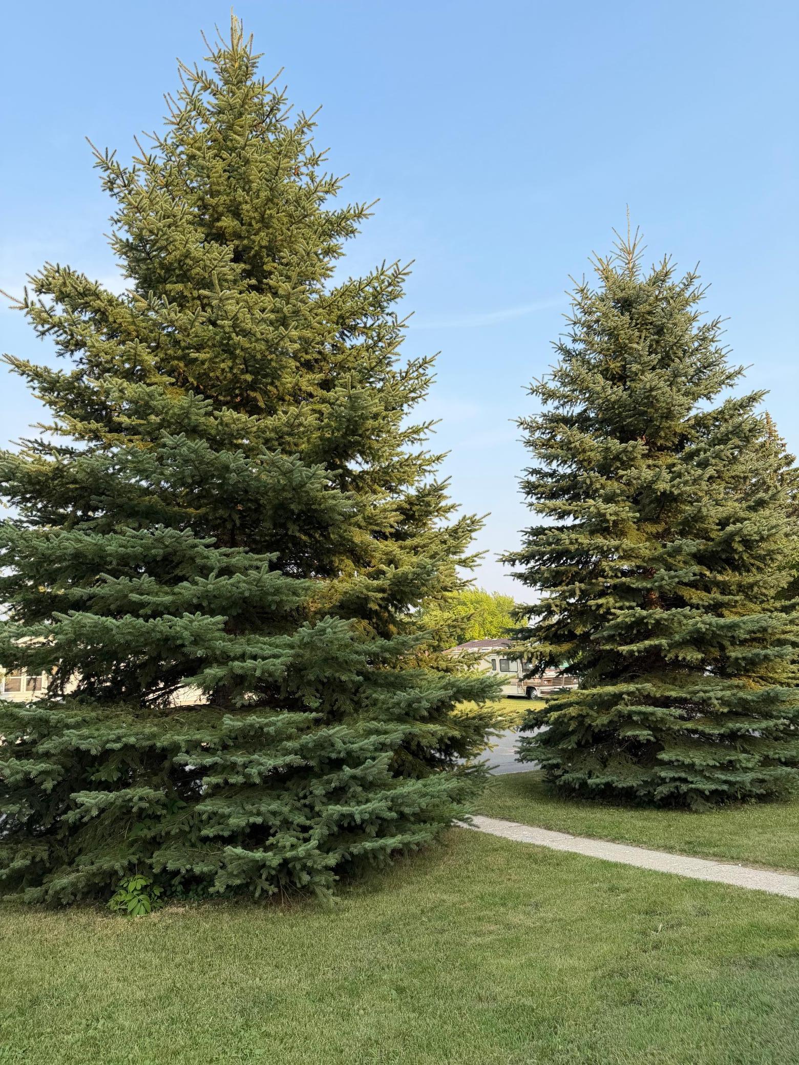 15th image of 1209 Arnold Ave N, Thief River Falls, MN 56701 | MLS# 7119616