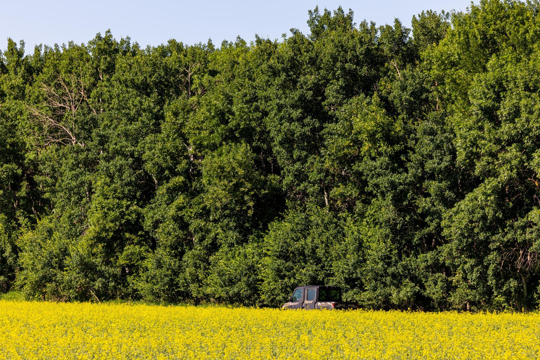 2nd image of Tbd Lake Rd, Bottineau, ND 58318 | MLS# 7119812