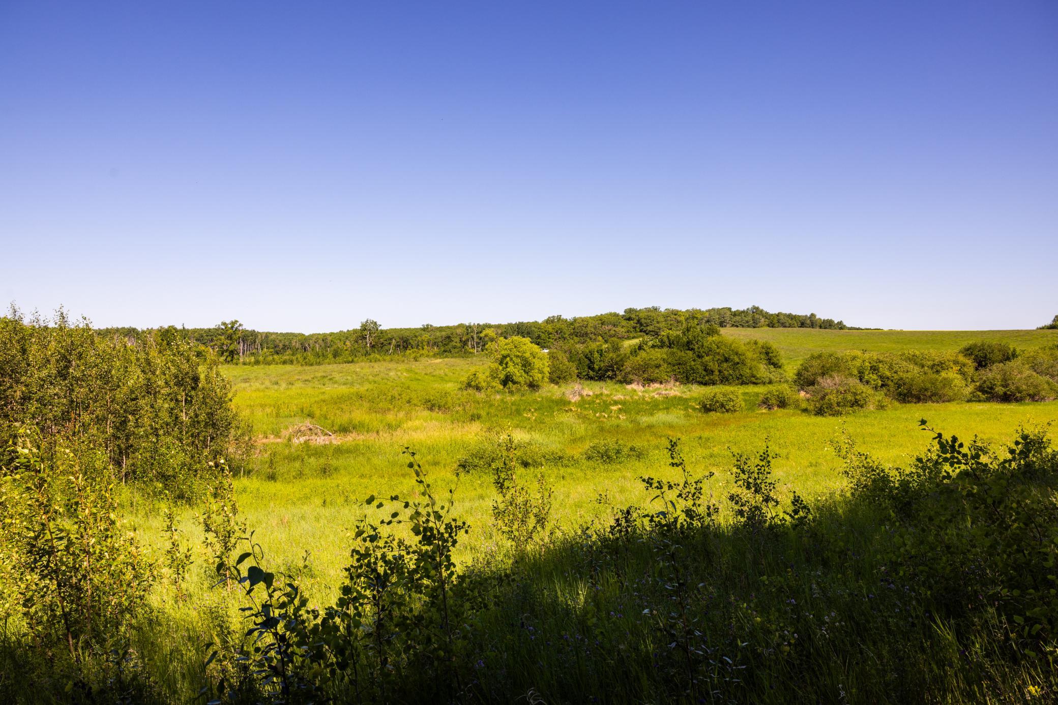 74th image of Tbd Lake Rd, Bottineau, ND 58318 | MLS# 7119812