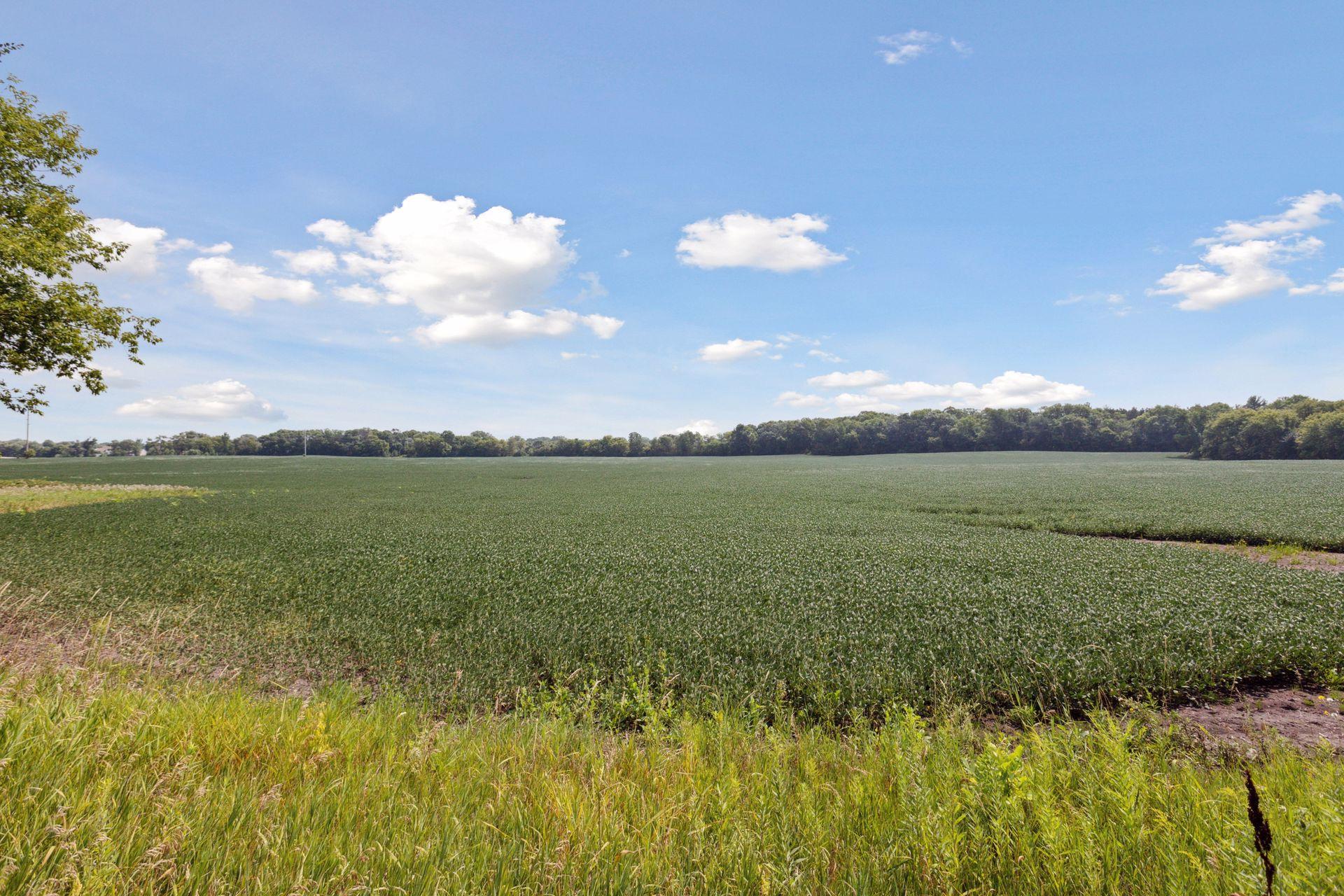 1st image of 24x4 Holy Name Dr, Medina, MN 55340 | MLS# 7120106