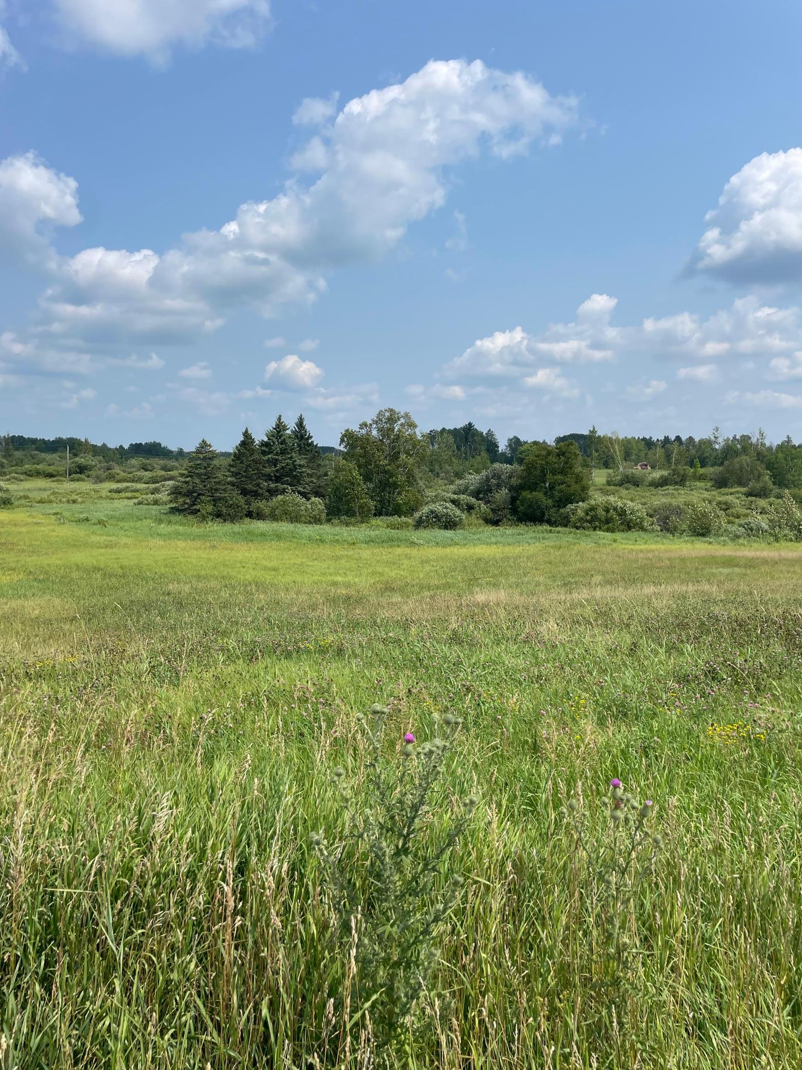 1st image of 14331 395th Ln, Tamarack, MN 55787 | MLS# 7120217