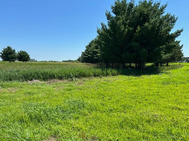 15th image of Tbd 210th St, Glenwood, MN 56334 | MLS# 7120485