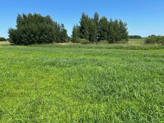 1st image of Tbd 210th St, Glenwood, MN 56334 | MLS# 7120485