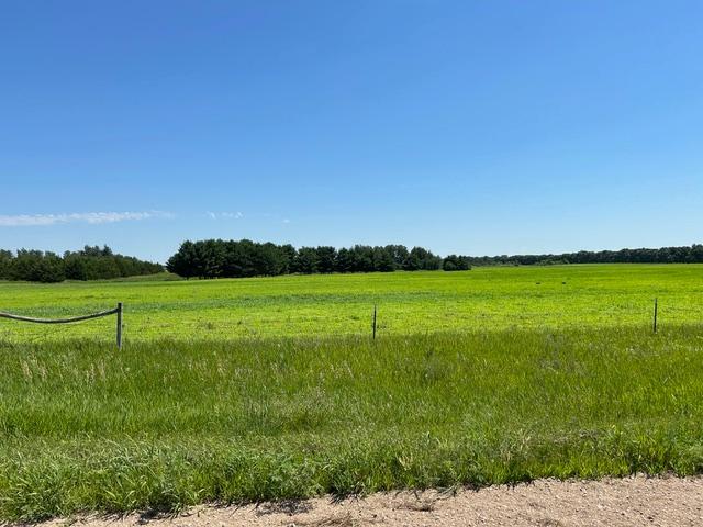 2nd image of Tbd 210th St, Glenwood, MN 56334 | MLS# 7120485