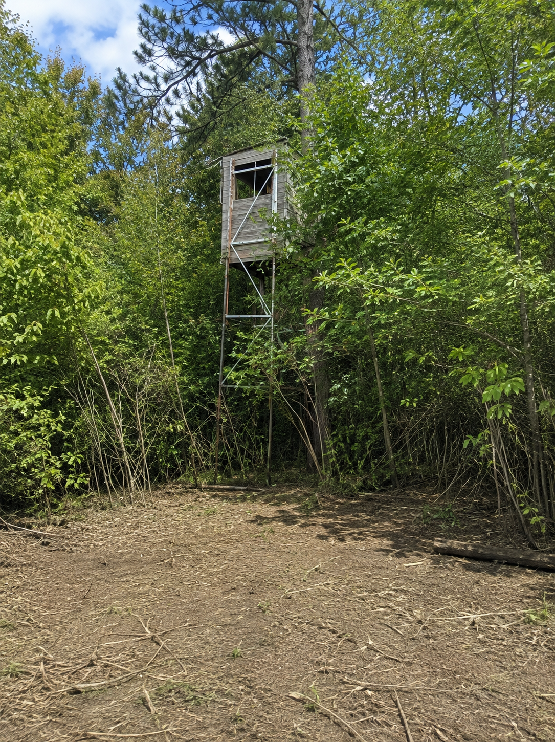 1st image of Tbd Chimney Rd, Nevis, MN 56467 | MLS# 7120493