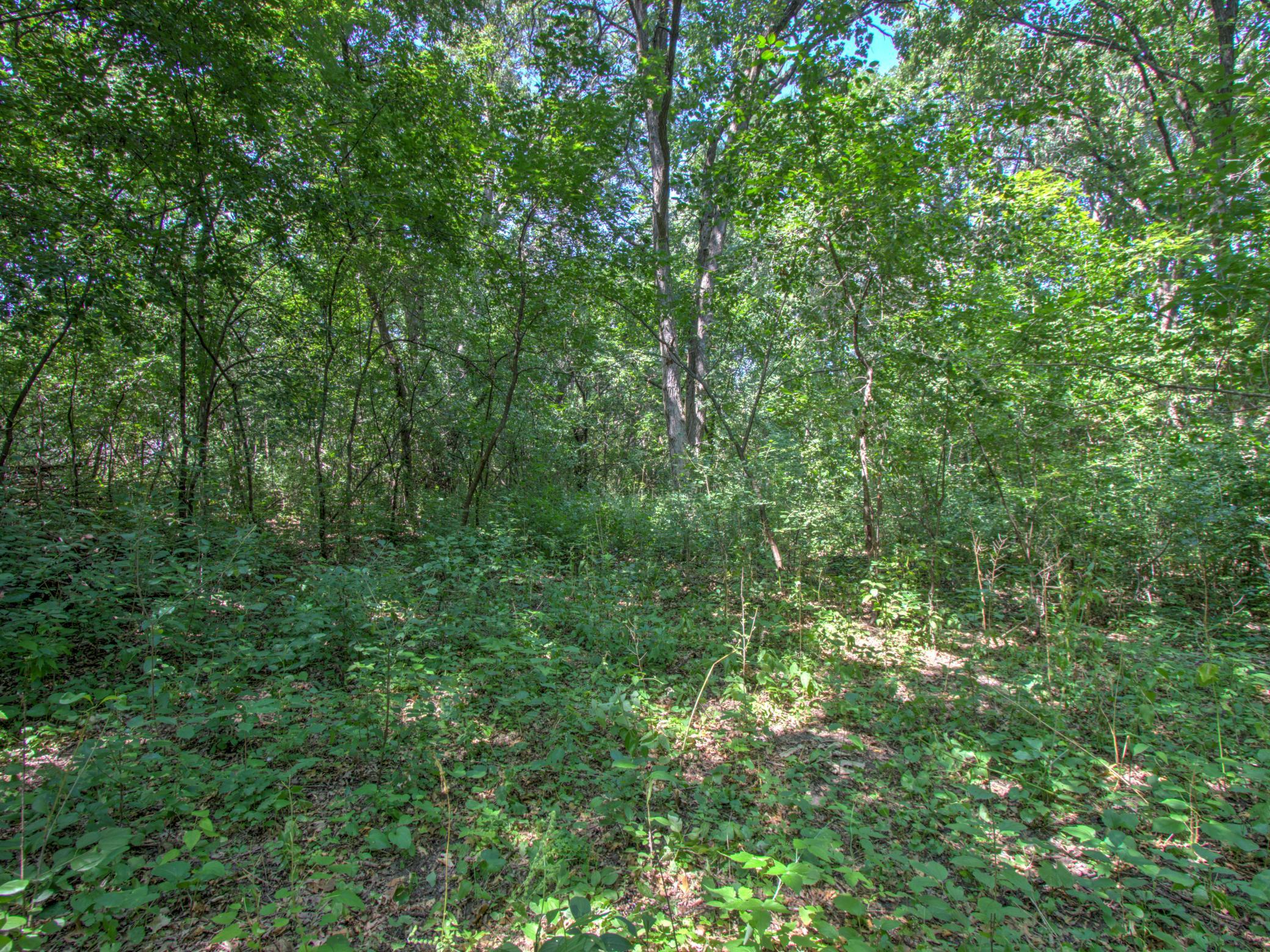 5th image of Tbd Sodium St Nw, Anoka, MN 55303 | MLS# 7120594