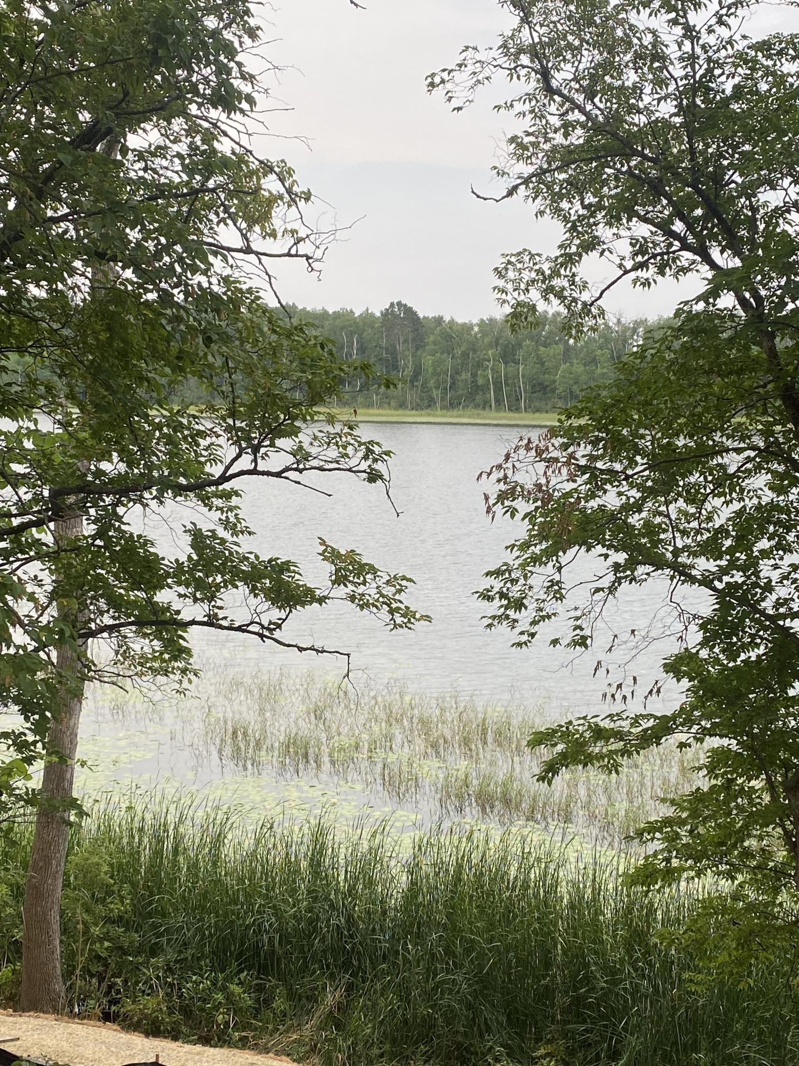 1st image of Tbd Wolf Ridge Dr, Cass Lake, MN 56633 | MLS# 7120688