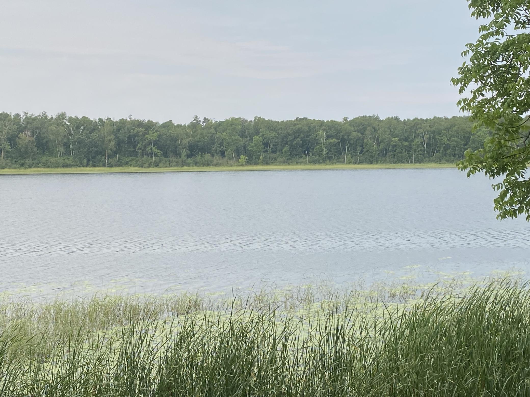 2nd image of Tbd Wolf Ridge Dr, Cass Lake, MN 56633 | MLS# 7120688