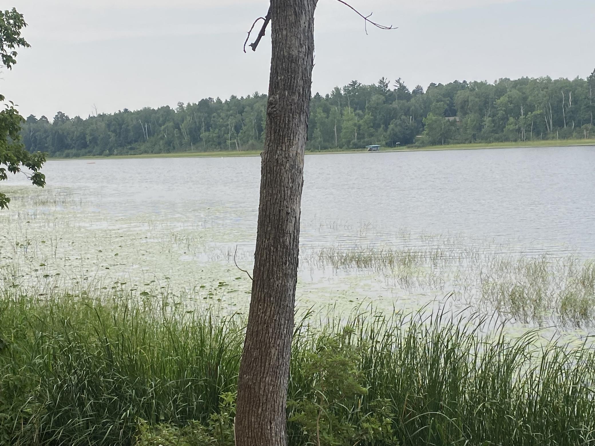 4th image of Tbd Wolf Ridge Dr, Cass Lake, MN 56633 | MLS# 7120688