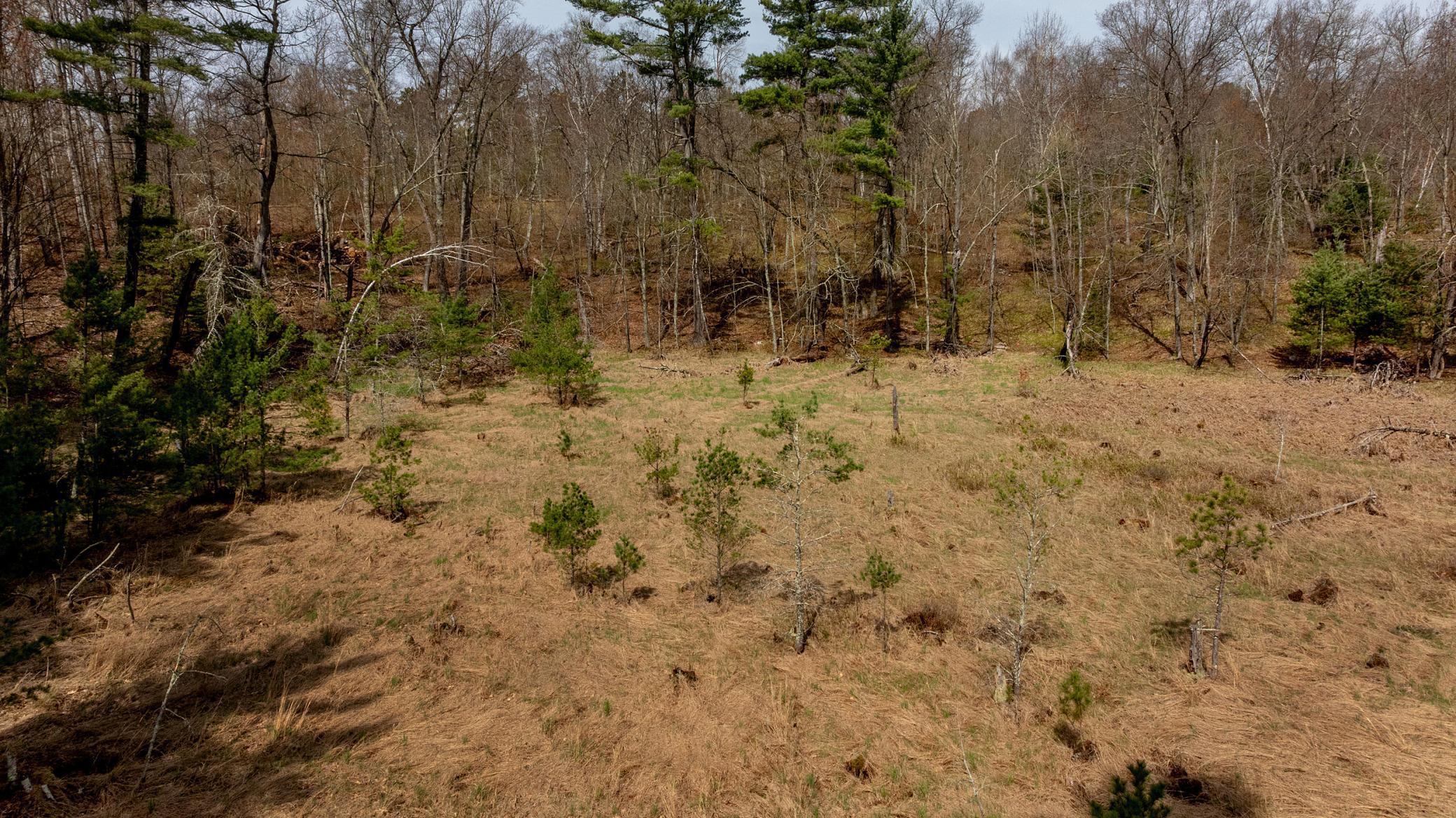 16th image of 6000 N Bass Lk Dr Ne, Remer, MN 56672 | MLS# 7120931