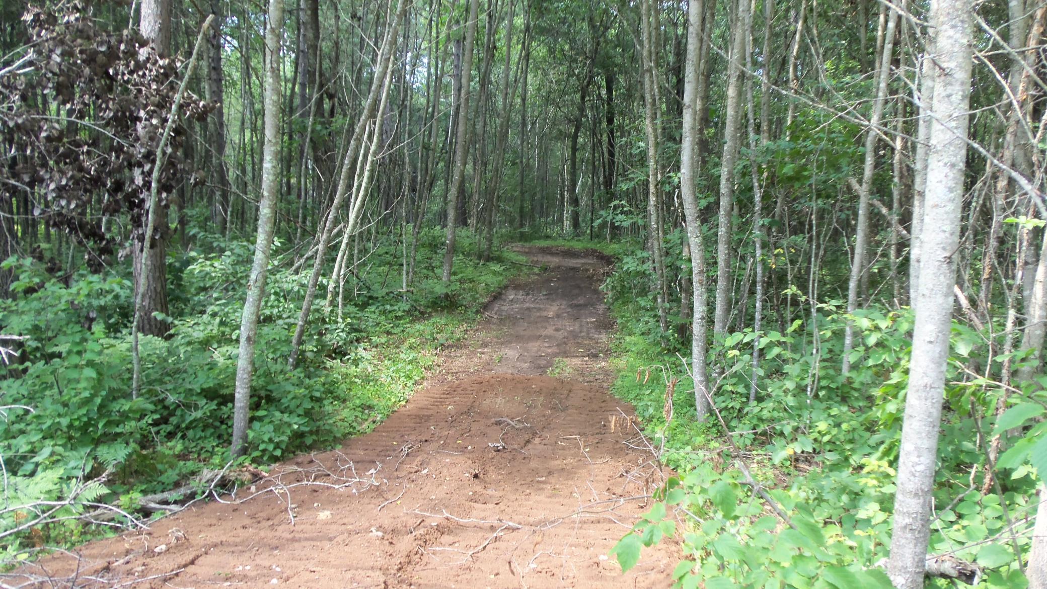4th image of Lot 1 Brch Tree Trl, Spooner, WI 54801 | MLS# 7121067