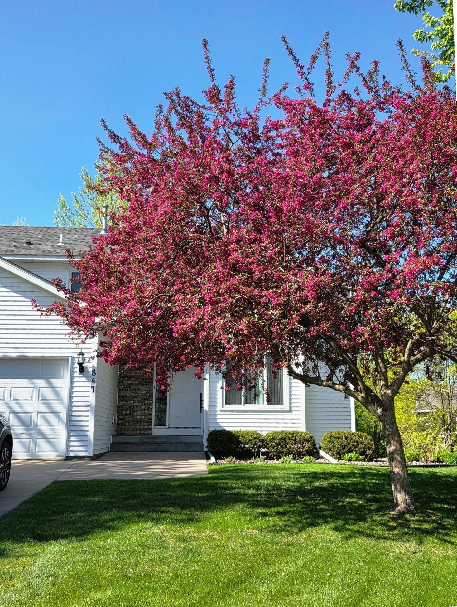 3rd image of 847 Vista Cir, Delano, MN 55328 | MLS# 7121148