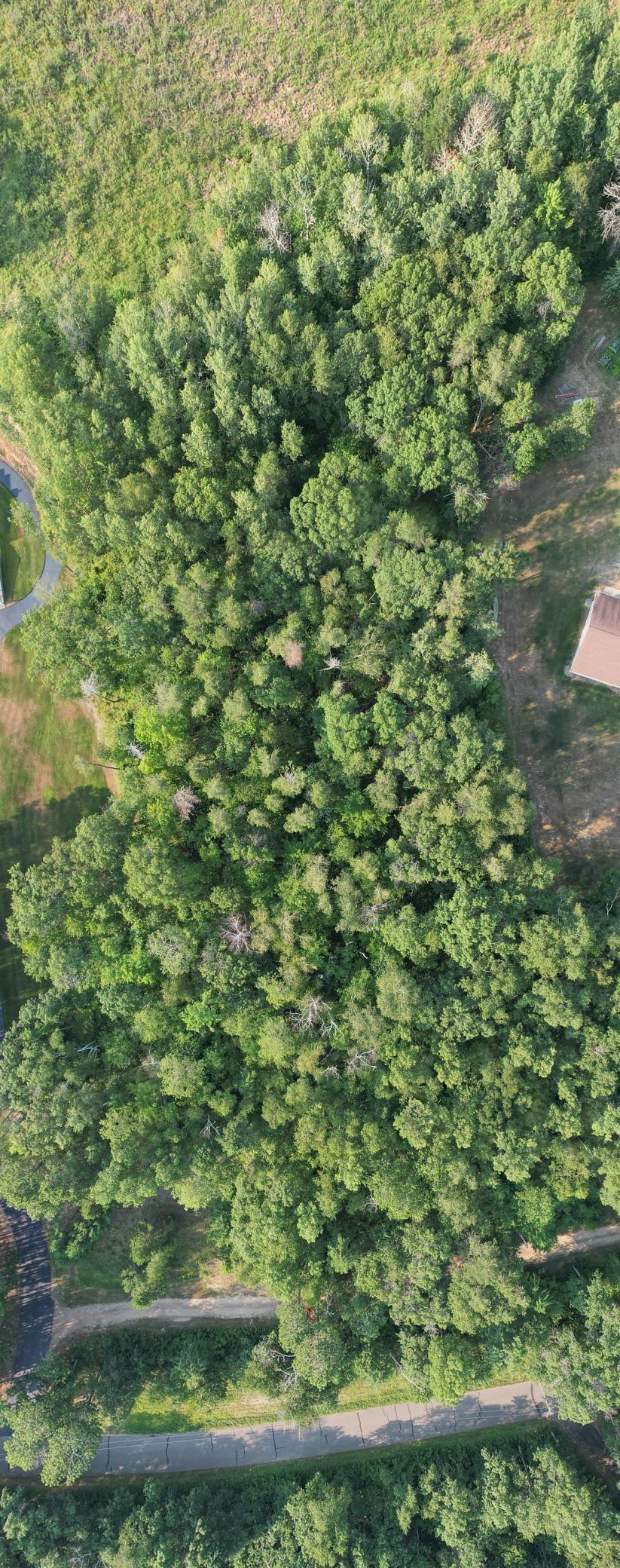7th image of Tbd Solitude Wy, Merrifield, MN 56465 | MLS# 7121394