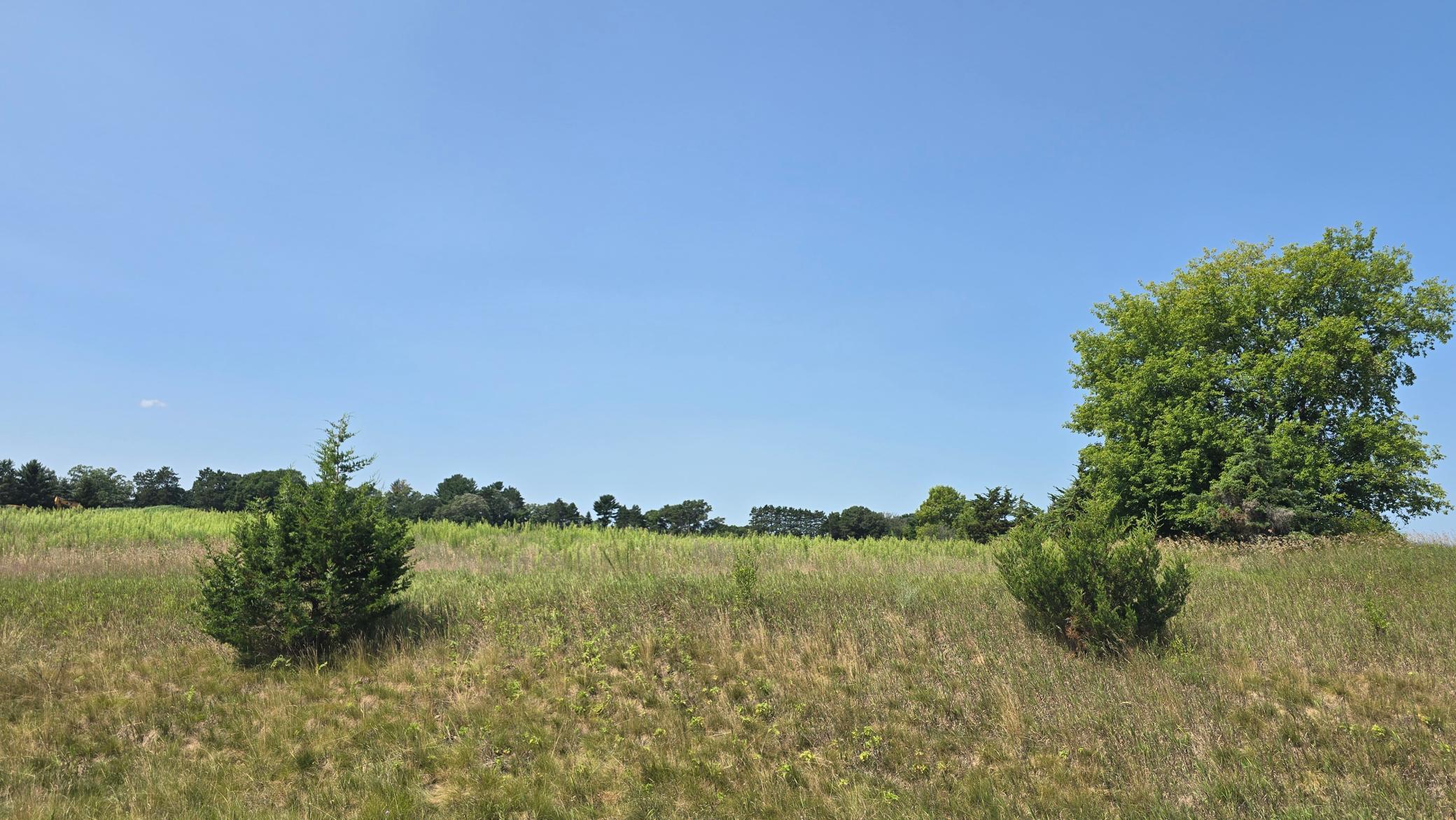 2nd image of 19xxx Tamarack St Nw, Cedar, MN 55011 | MLS# 7121404