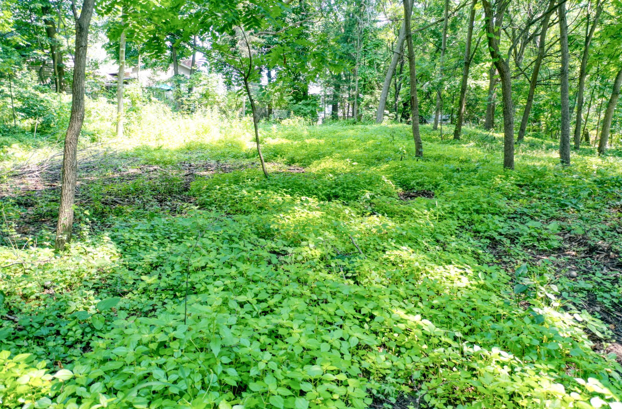 10th image of Tbd 219th Street N, Forest Lake, MN 55025 | MLS# 7121550