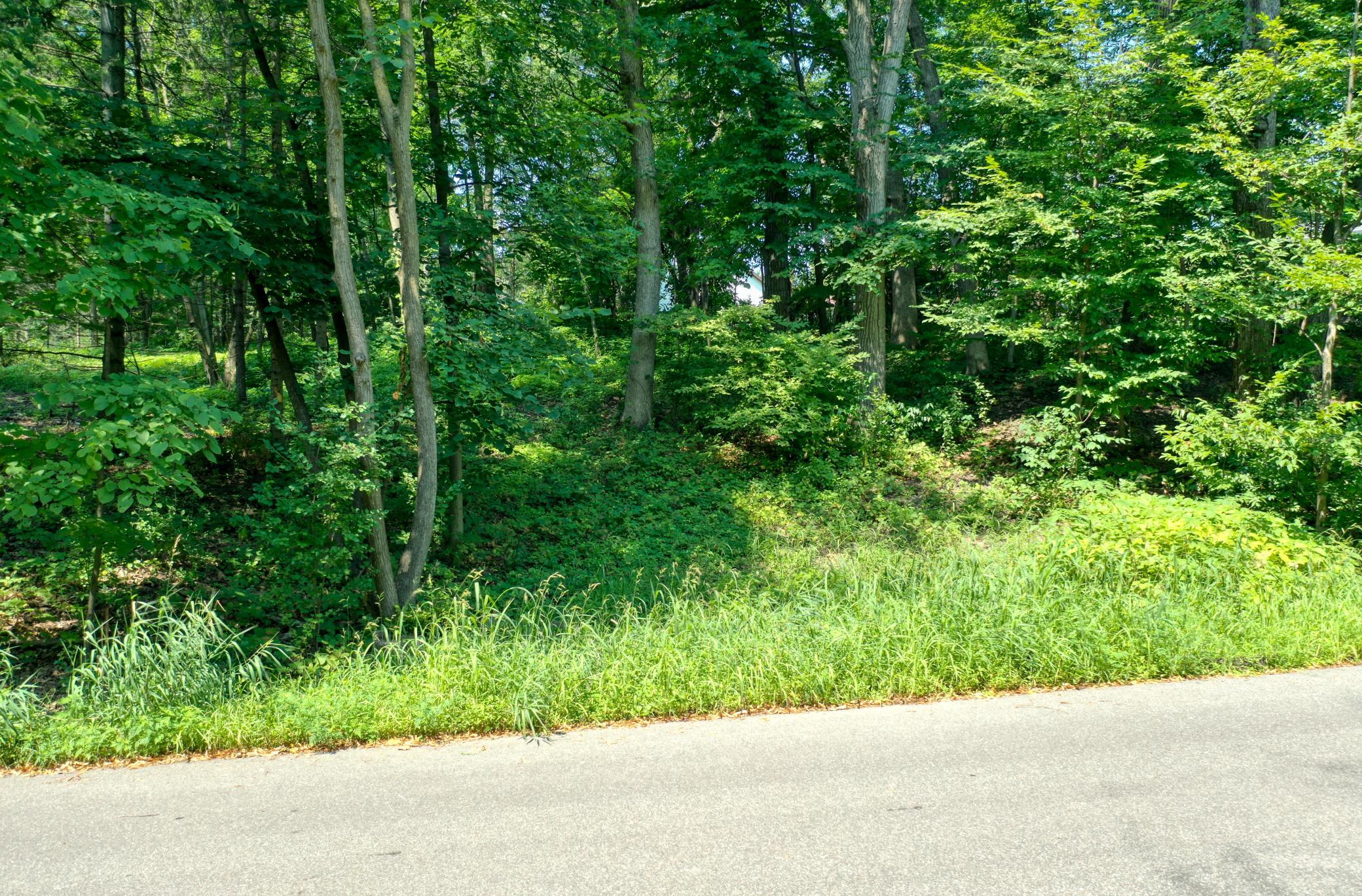 5th image of Tbd 219Th Street N, Forest Lake, MN 55025 | MLS# 7121550