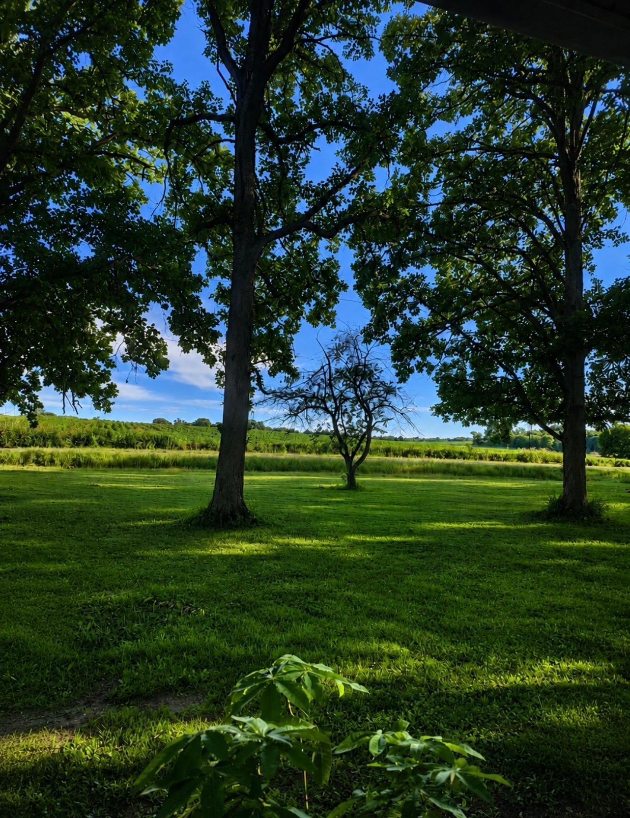 2nd image of 465 70th Ave #J, Clayton, WI 54004 | MLS# 7121555