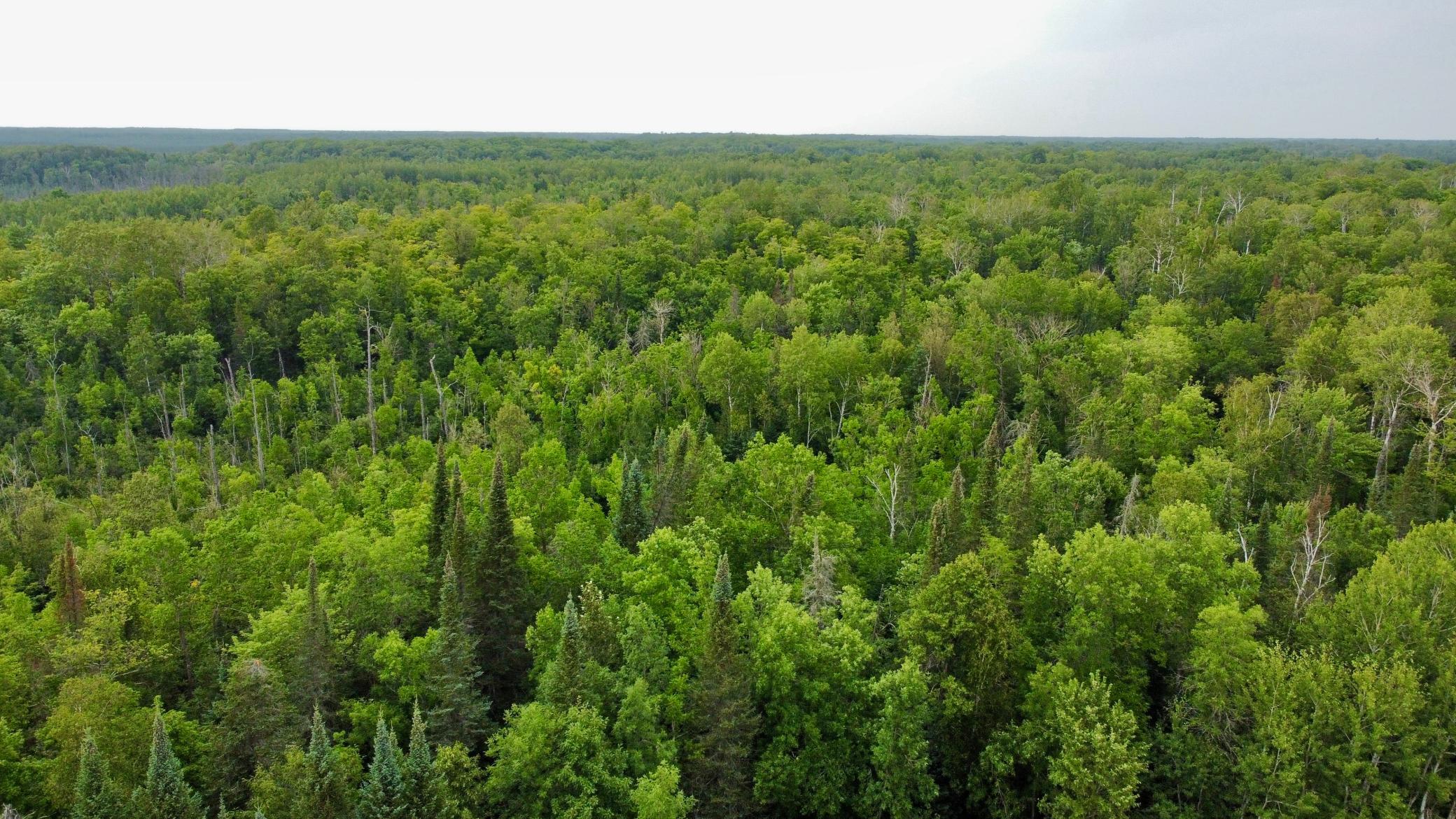1st image of 15512 Hwy 27, Sturgeon Lake, MN 55783 | MLS# 7121850