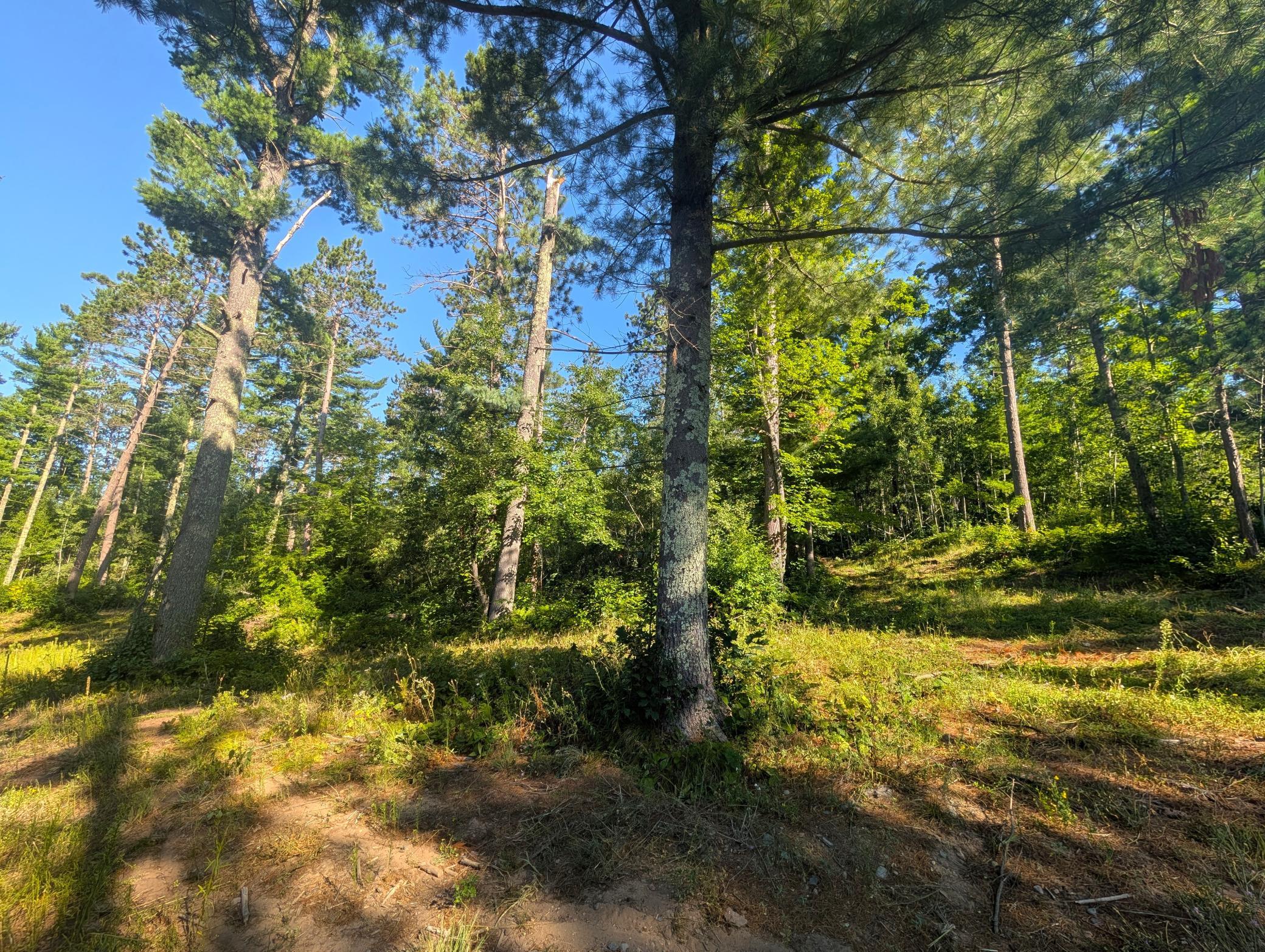 3rd image of 3380 W Hwy 63, Springbrook, WI 54875 | MLS# 7121855