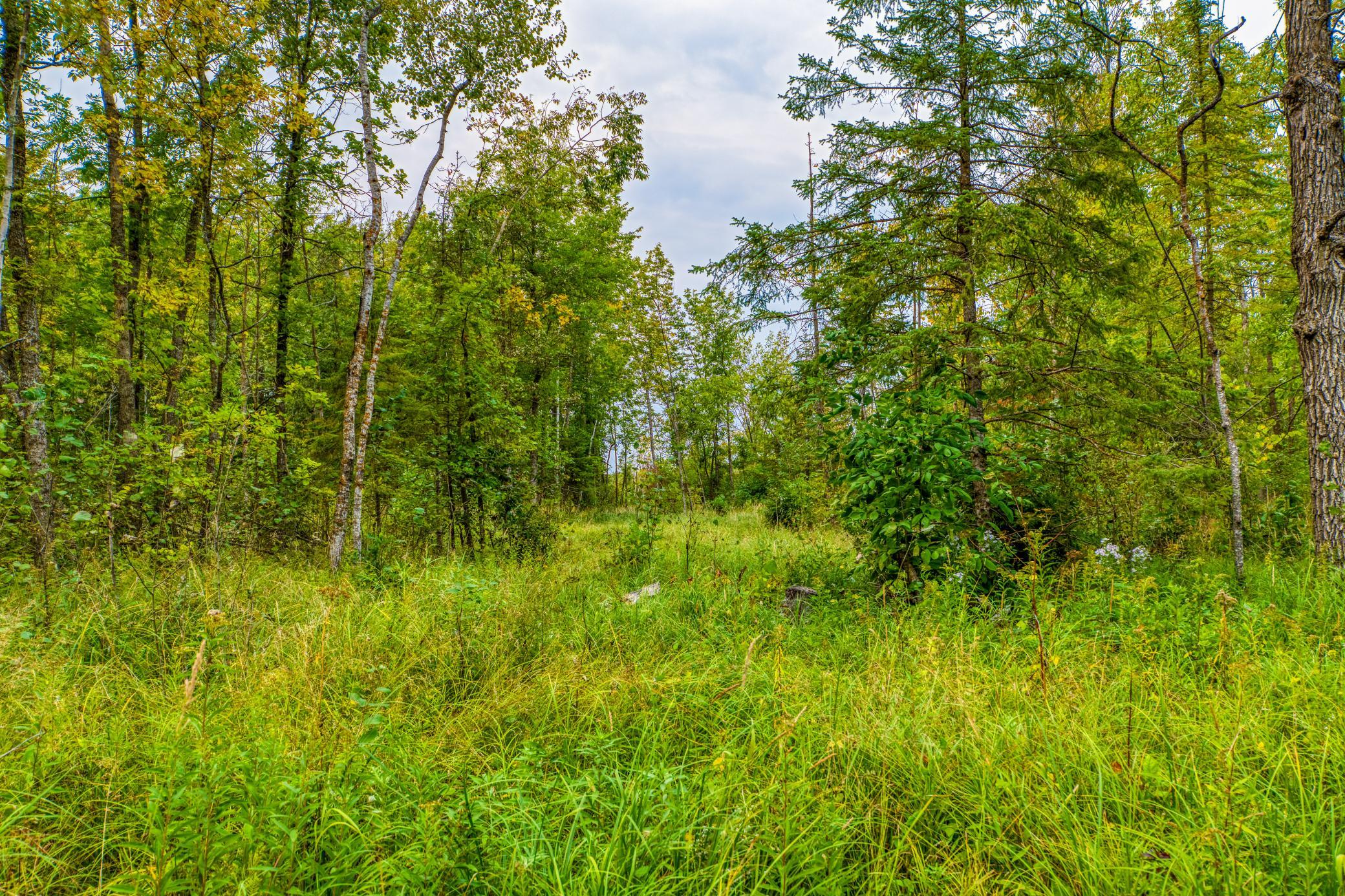 37th image of 12479 Battle Rd Ne, Blackduck, MN 56630 | MLS# 7121920