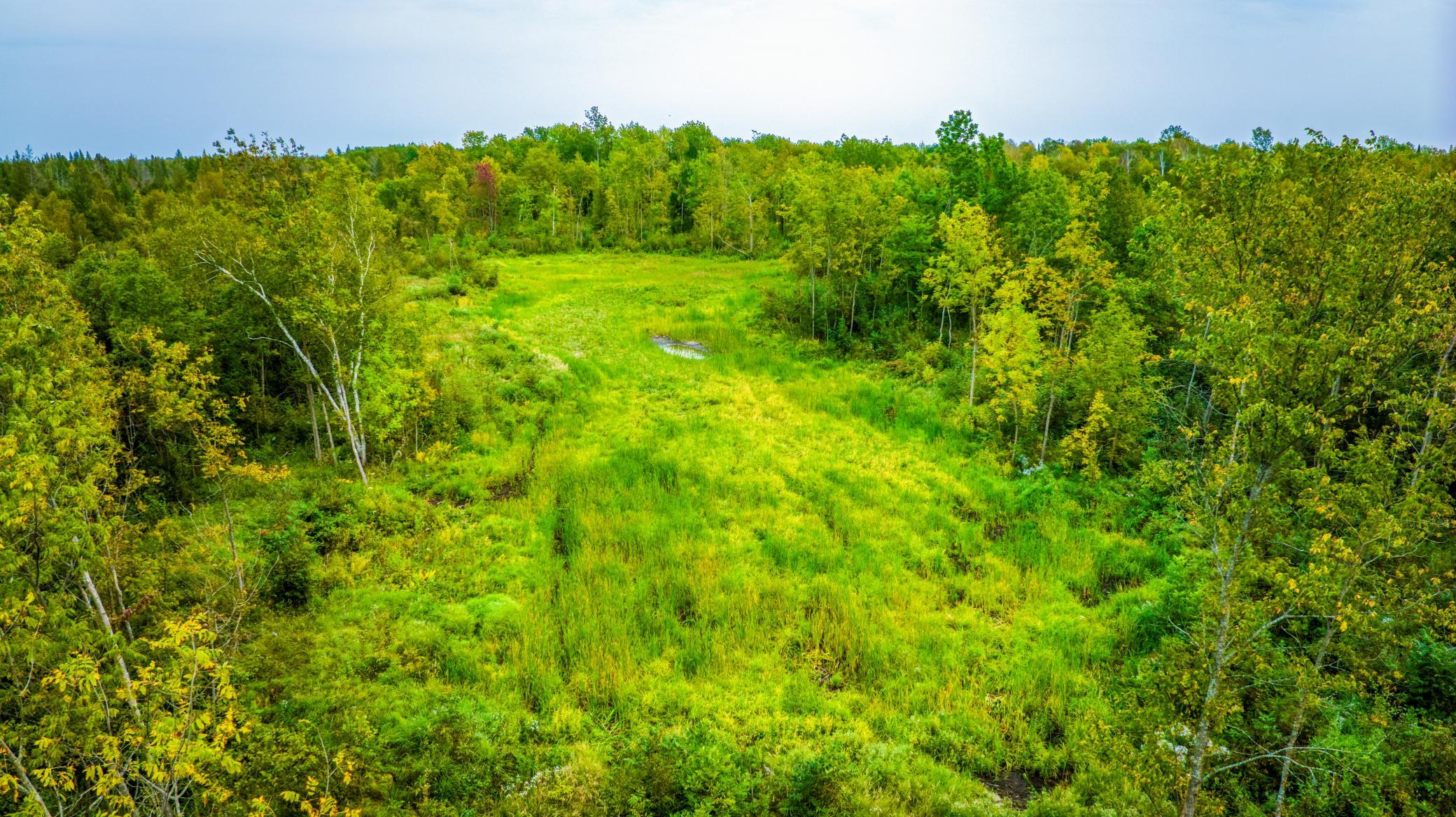 5th image of 12479 Battle Rd Ne, Blackduck, MN 56630 | MLS# 7121920