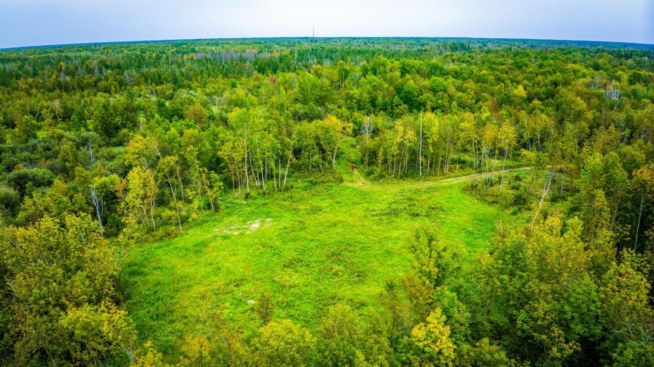 4th image of 12479 Battle Rd Ne, Blackduck, MN 56630 | MLS# 7121920