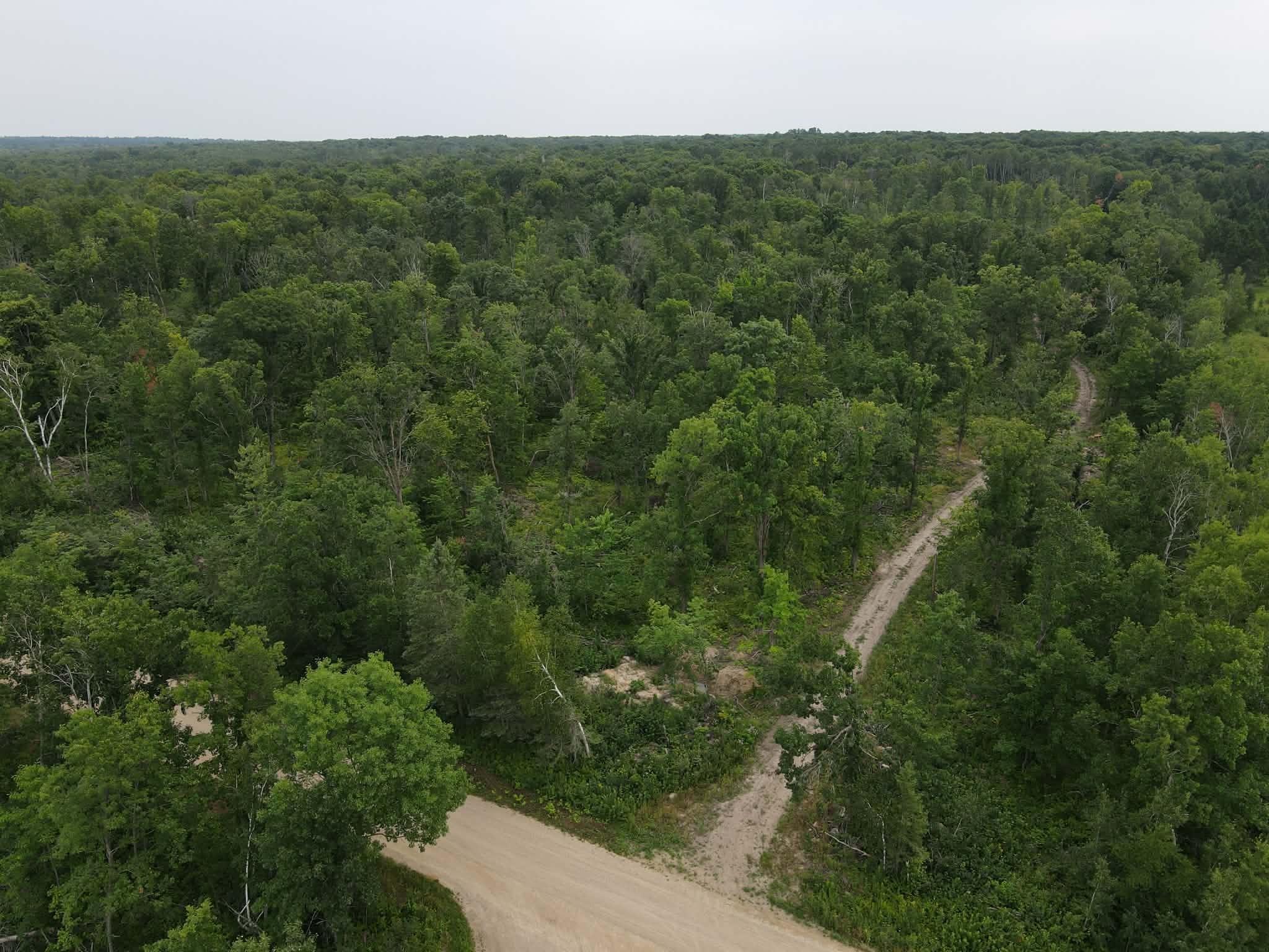 4th image of Tbd 452Nd St, Solway, MN 56678 | MLS# 7122042