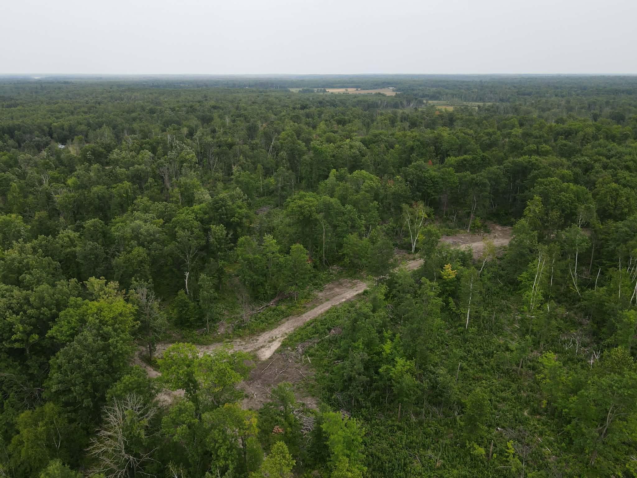 3rd image of Tbd 452Nd St, Solway, MN 56678 | MLS# 7122042