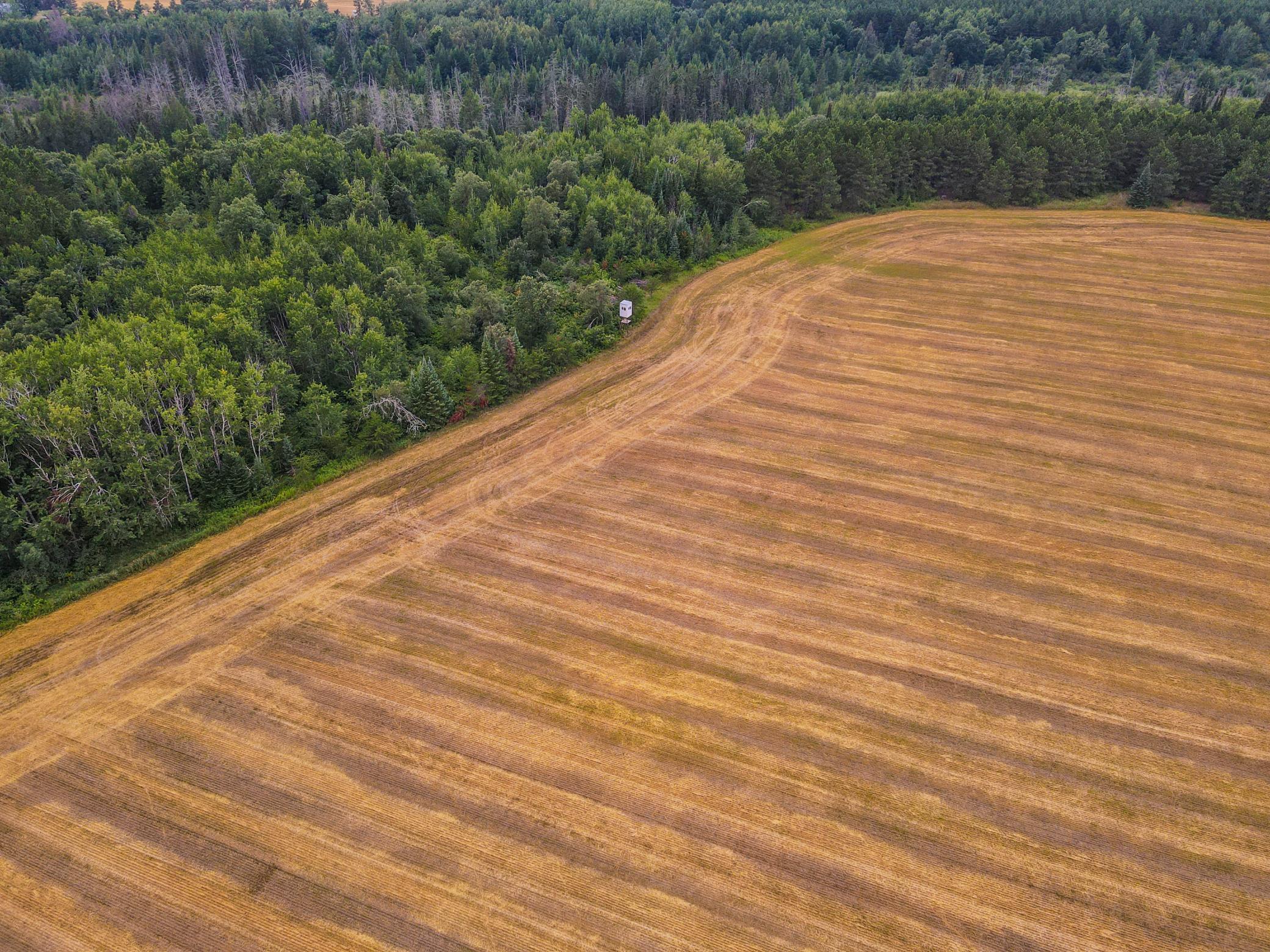 24th image of Tbd 285th Street, Osage, MN 56570 | MLS# 7122048