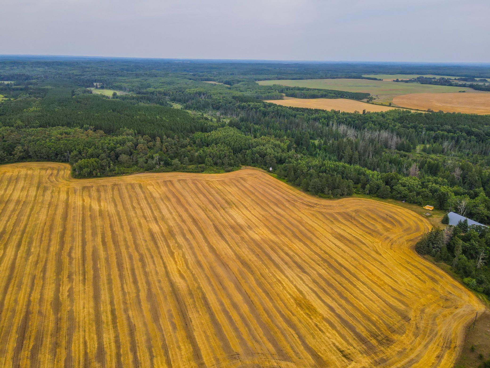 2nd image of Tbd 285th Street, Osage, MN 56570 | MLS# 7122048