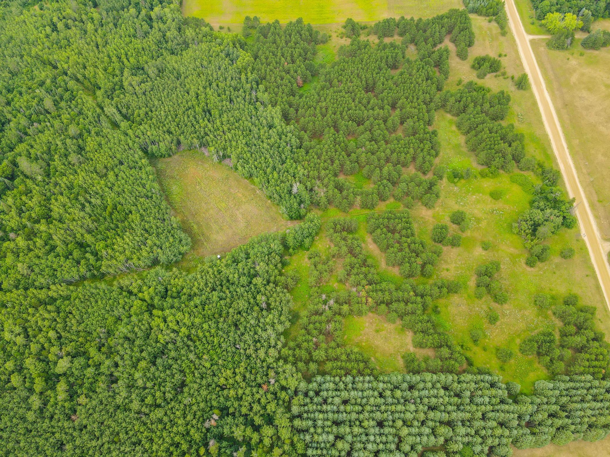 9th image of Tbd County Road 125, Park Rapids, MN 56470 | MLS# 7122158