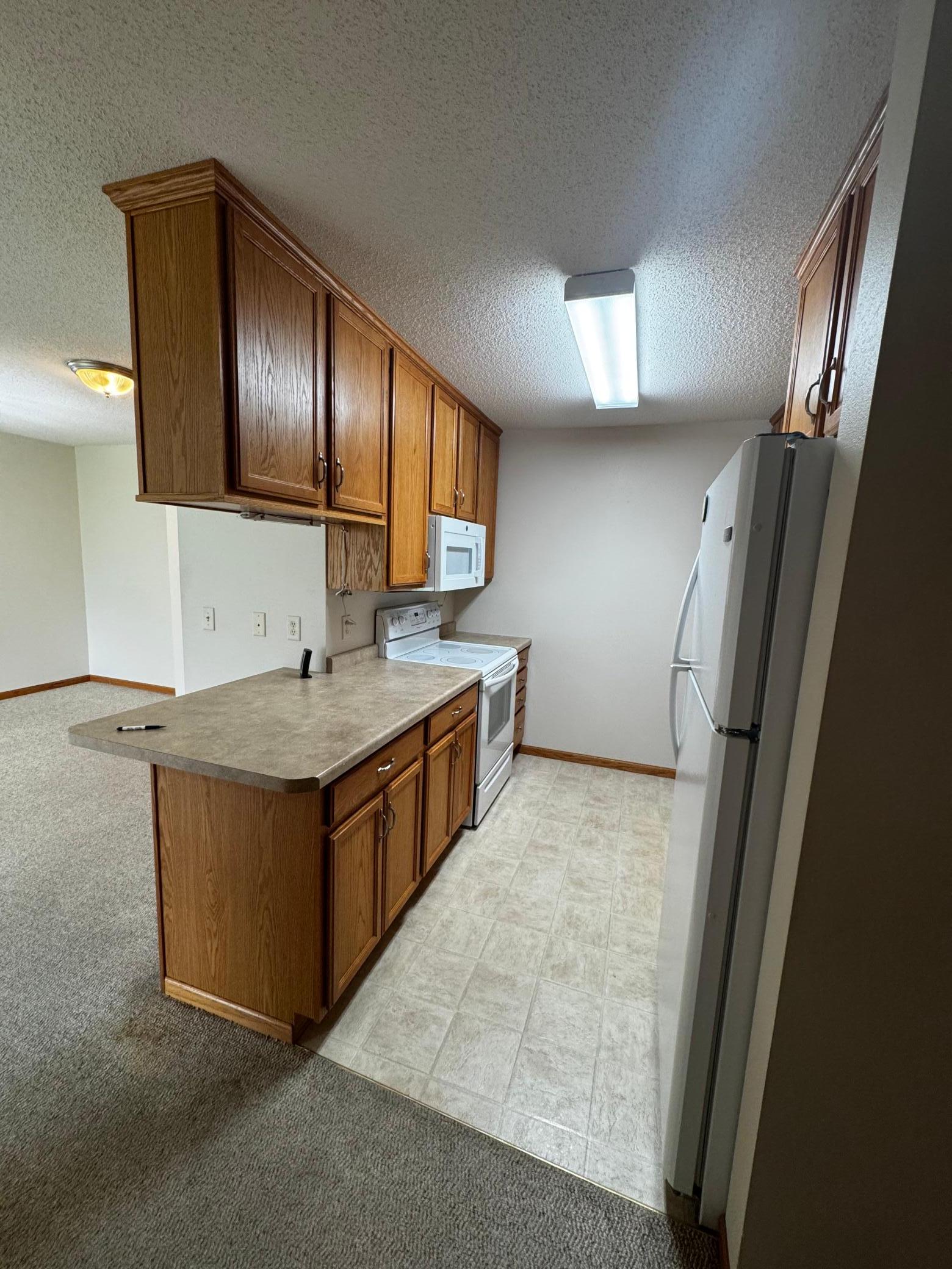 3rd image of 307 Roseland Ave #5, Prinsburg, MN 56281 | MLS# 7122306