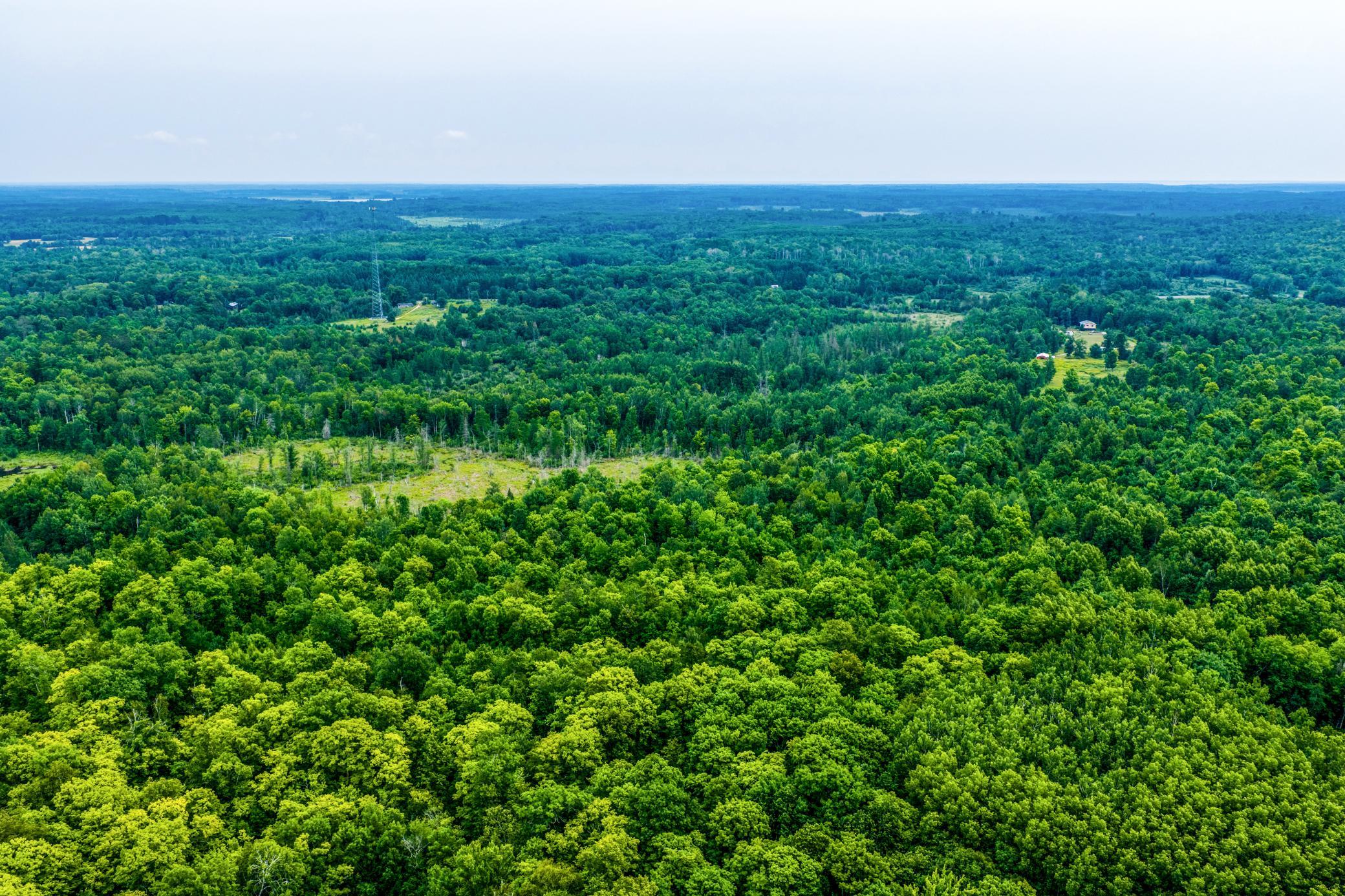 2nd image of Tbd Scenic Hwy, Pennington, MN 56663 | MLS# 7122482