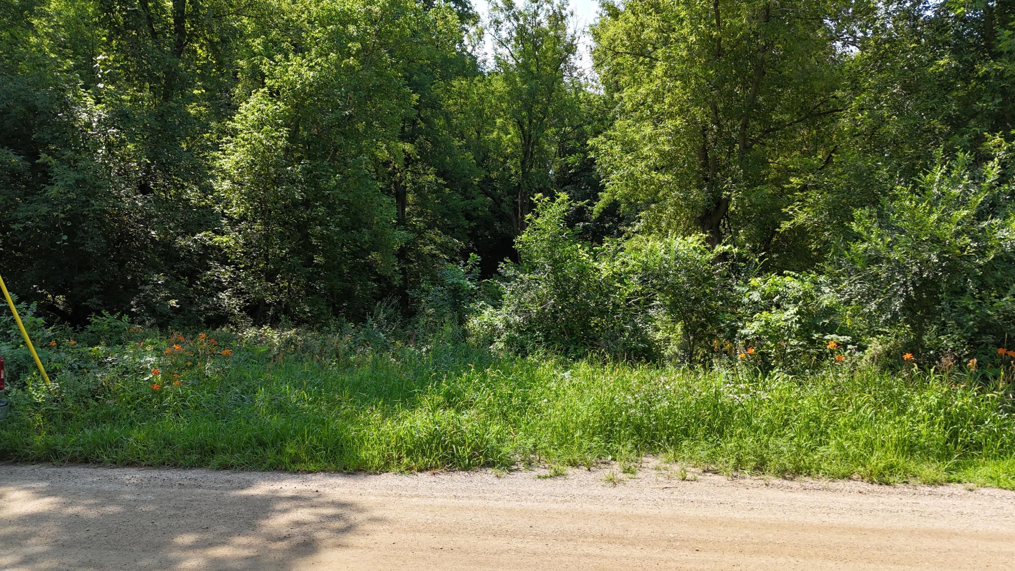 2nd image of 16xxx 107th St Nw, South Haven, MN 55382 | MLS# 7122490
