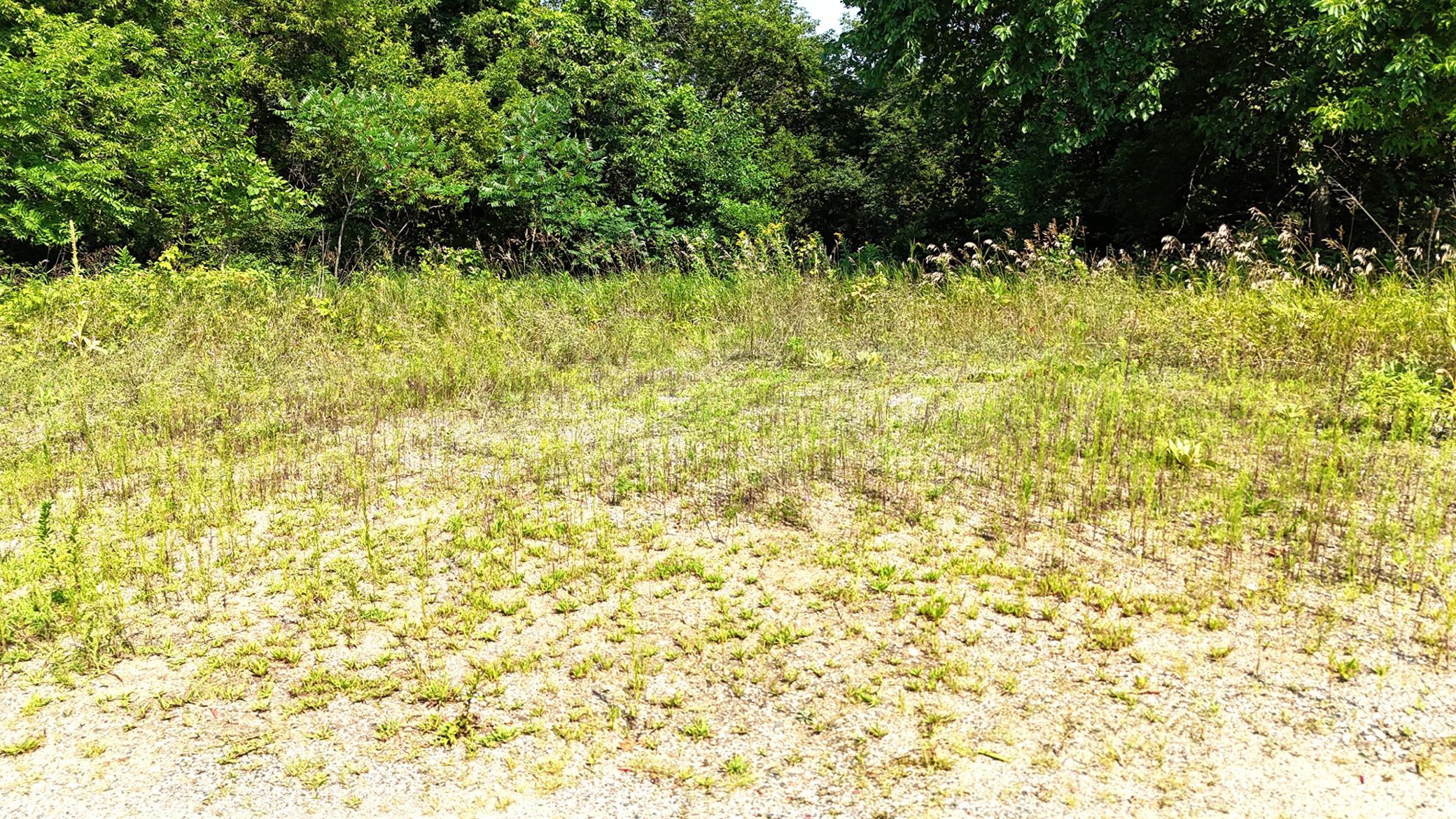 4th image of 16Xxx 107Th St Nw, South Haven, MN 55382 | MLS# 7122490