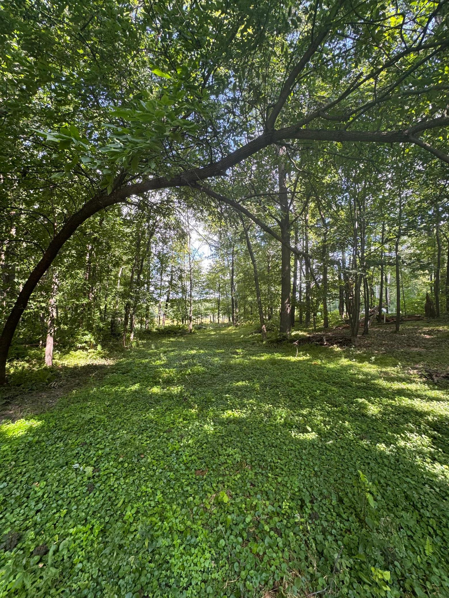 16th image of 8776 Dorothy Ave, Brainerd, MN 56401 | MLS# 7122639